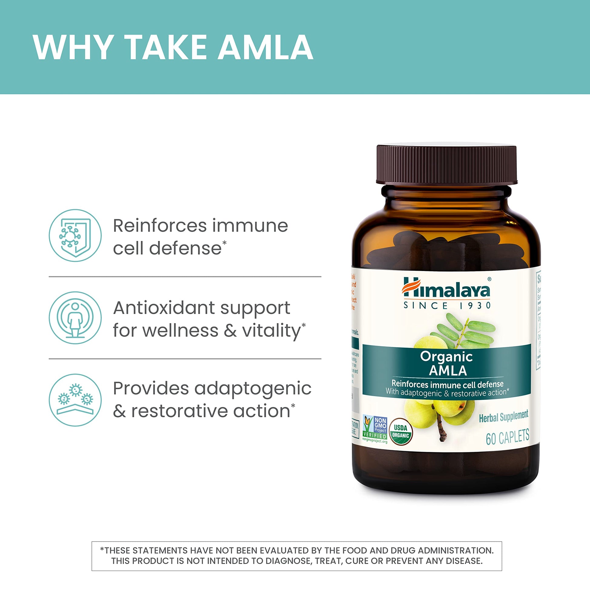 Himalaya Organic Amla - Herbal Immune Support Supplement with Adaptogen and Antioxidant - USDA Organic, Vegan Himalaya buy supplements canada