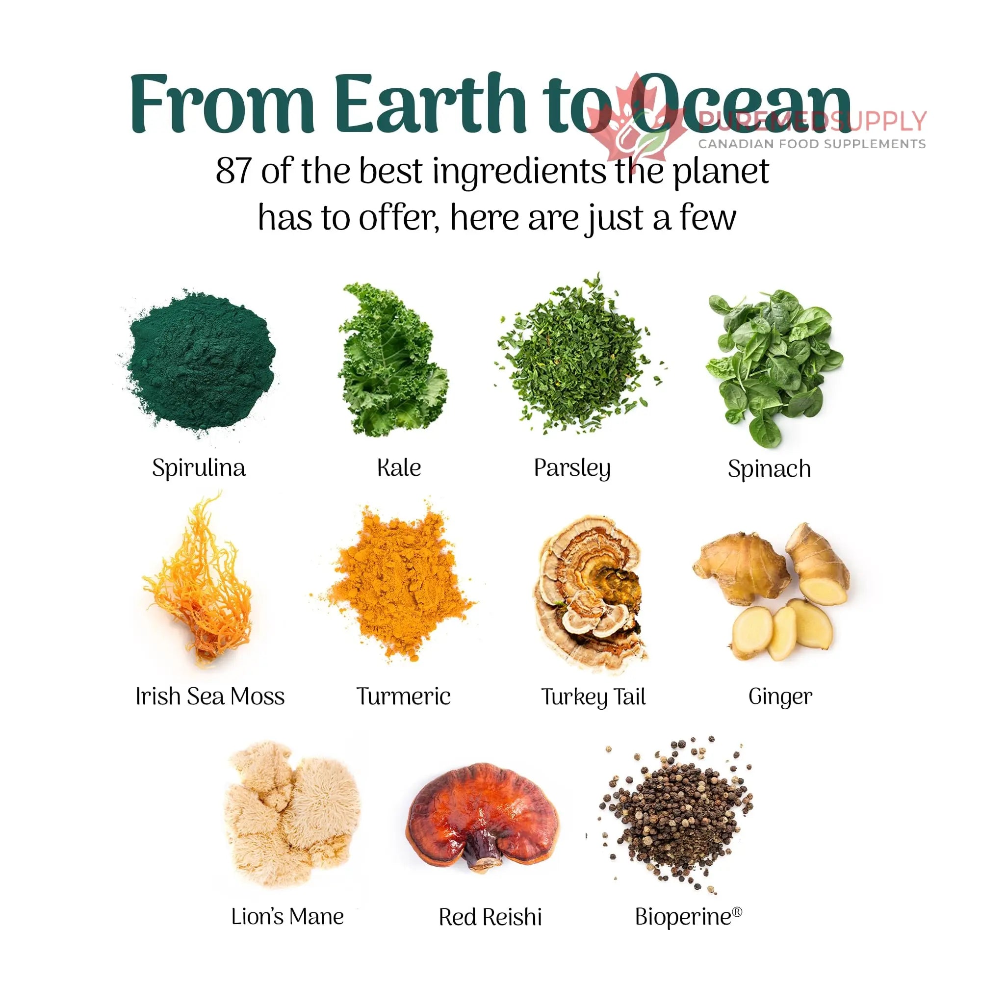 Earth Powder Daily Foundational Nutrition Supplement with 28 Greens & 10 Mushrooms | 87 Nutrients for Energy, Gut Health & Mental Clarity Earth Powder buy supplements canada