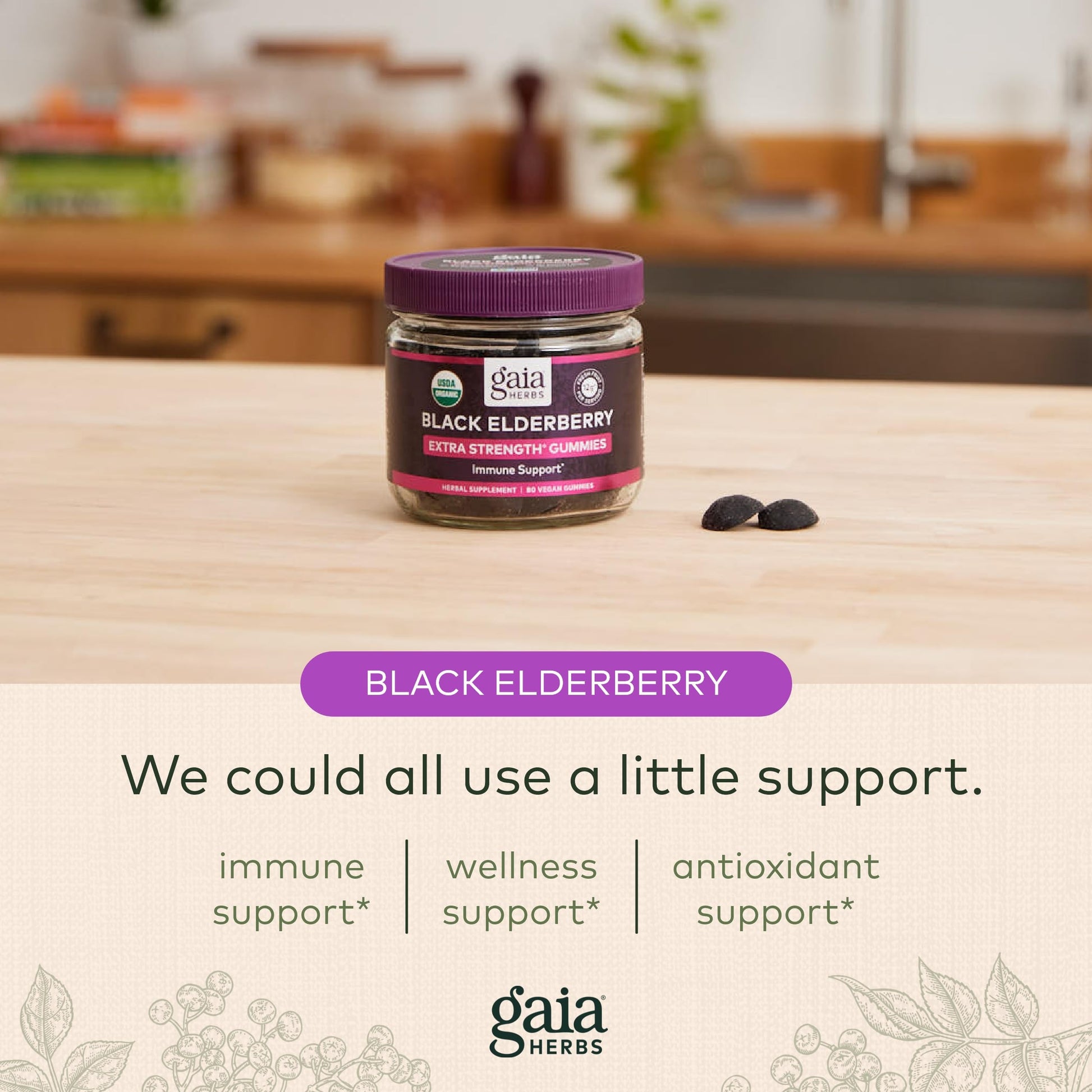Gaia Herbs Black Elderberry (Sambucus Nigra) Extra Strength Gummies Gaia Herbs buy supplements canada