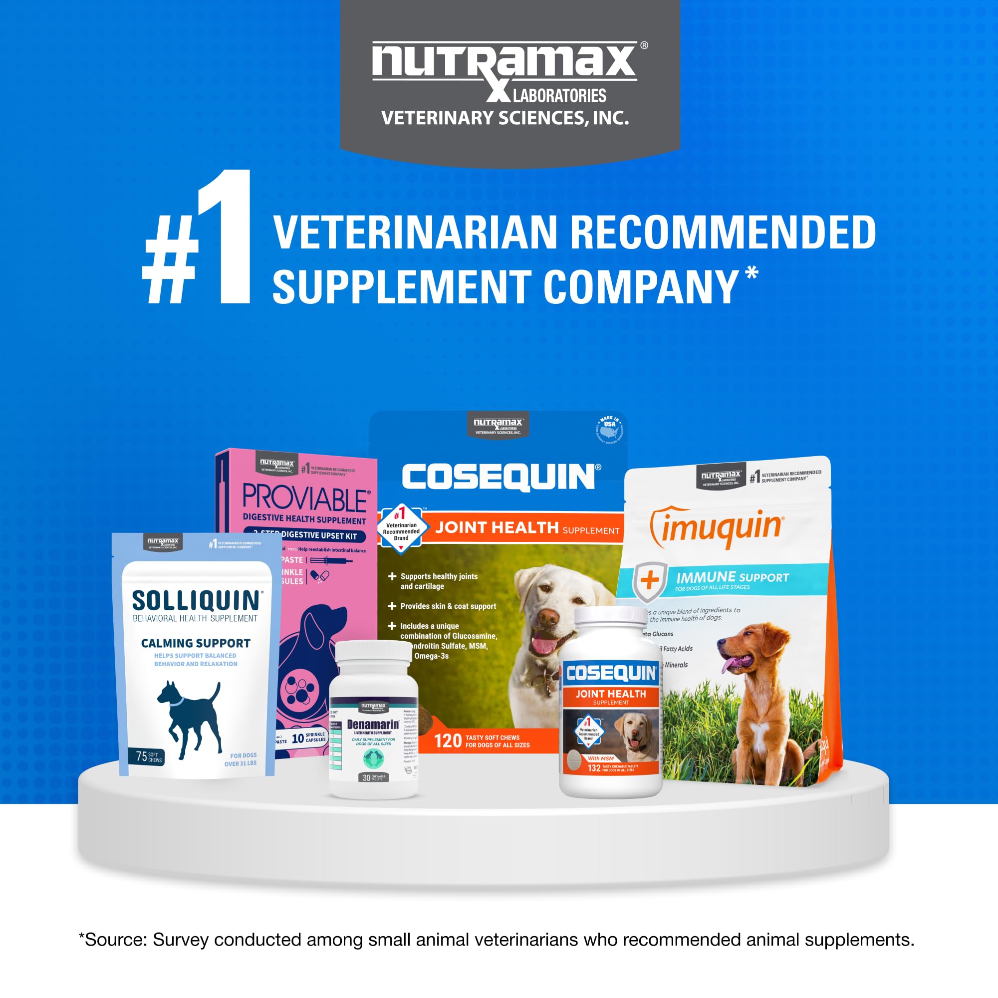 Nutramax Laboratories Cosequin Maximum Strength Joint Health Supplement for Dogs - With Glucosamine, Chondroitin, and MSM, 2 Pack, 264 Total Chewable Tablets Nutramax Laboratories buy supplements canada