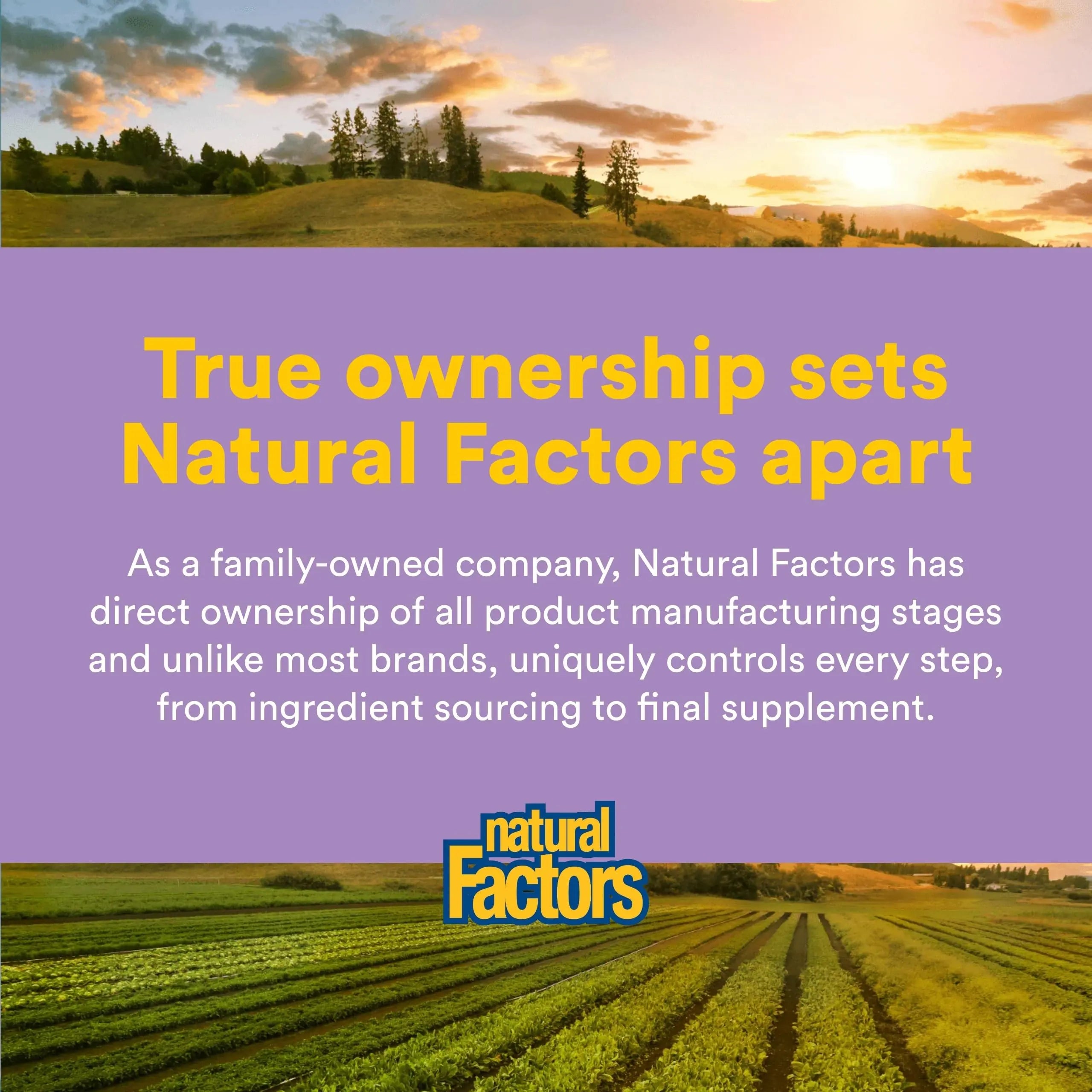 Natural Factors Pharma GABA - Dietary Supplement Supports Calm Sleep & Sleep Quality - Natural, Fast-Working Supplement Aids Focus & Brain Health - 120 Chewable Tablets (60 Servings) Natural Factors buy supplements canada