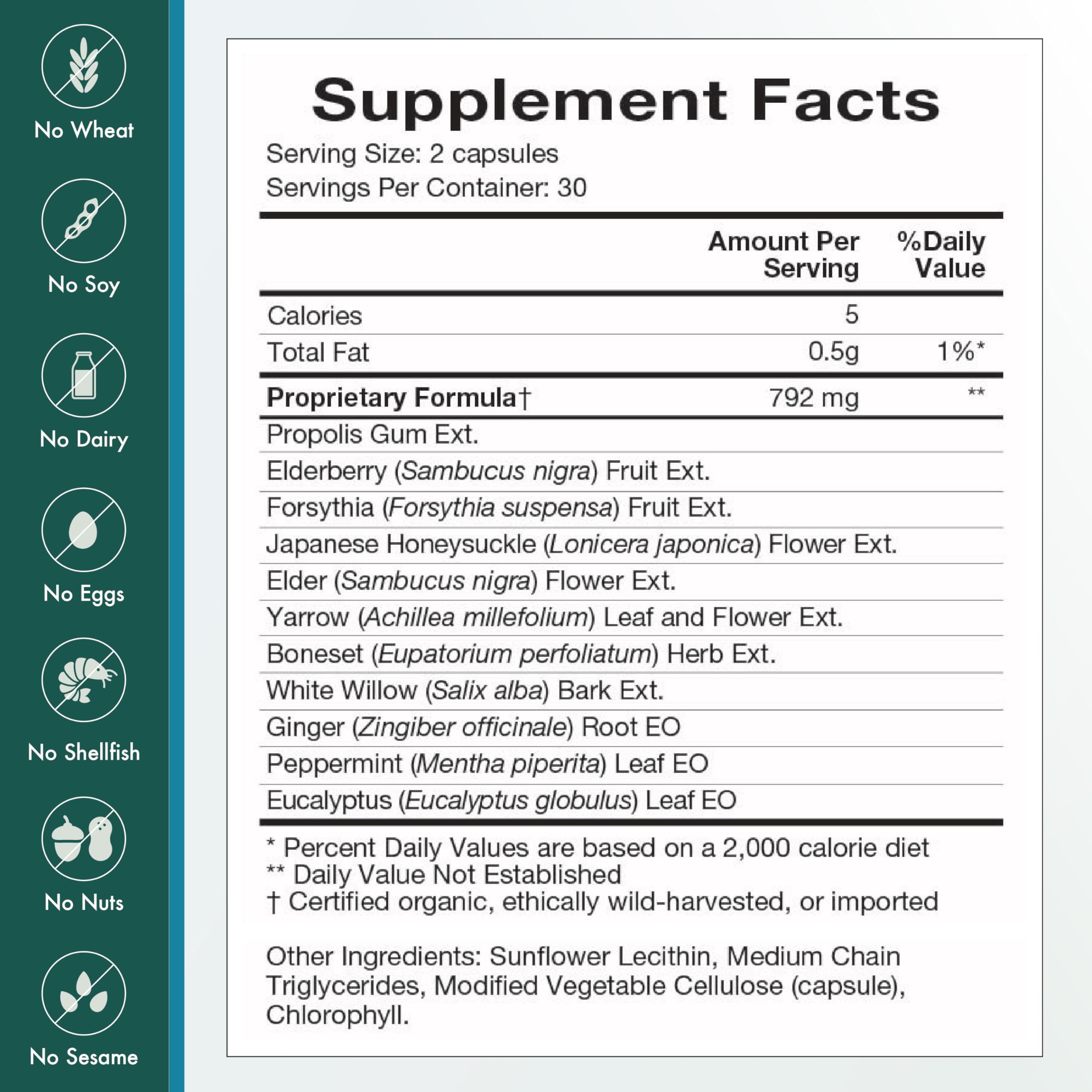 Natura Health Products Flew Away Supplement - Immune System Support & Seasonal Defense - Featuring Ginger, Elderberry, Propolis and Eucalyptus (60 Capsules) Natura Health Products buy supplements canada