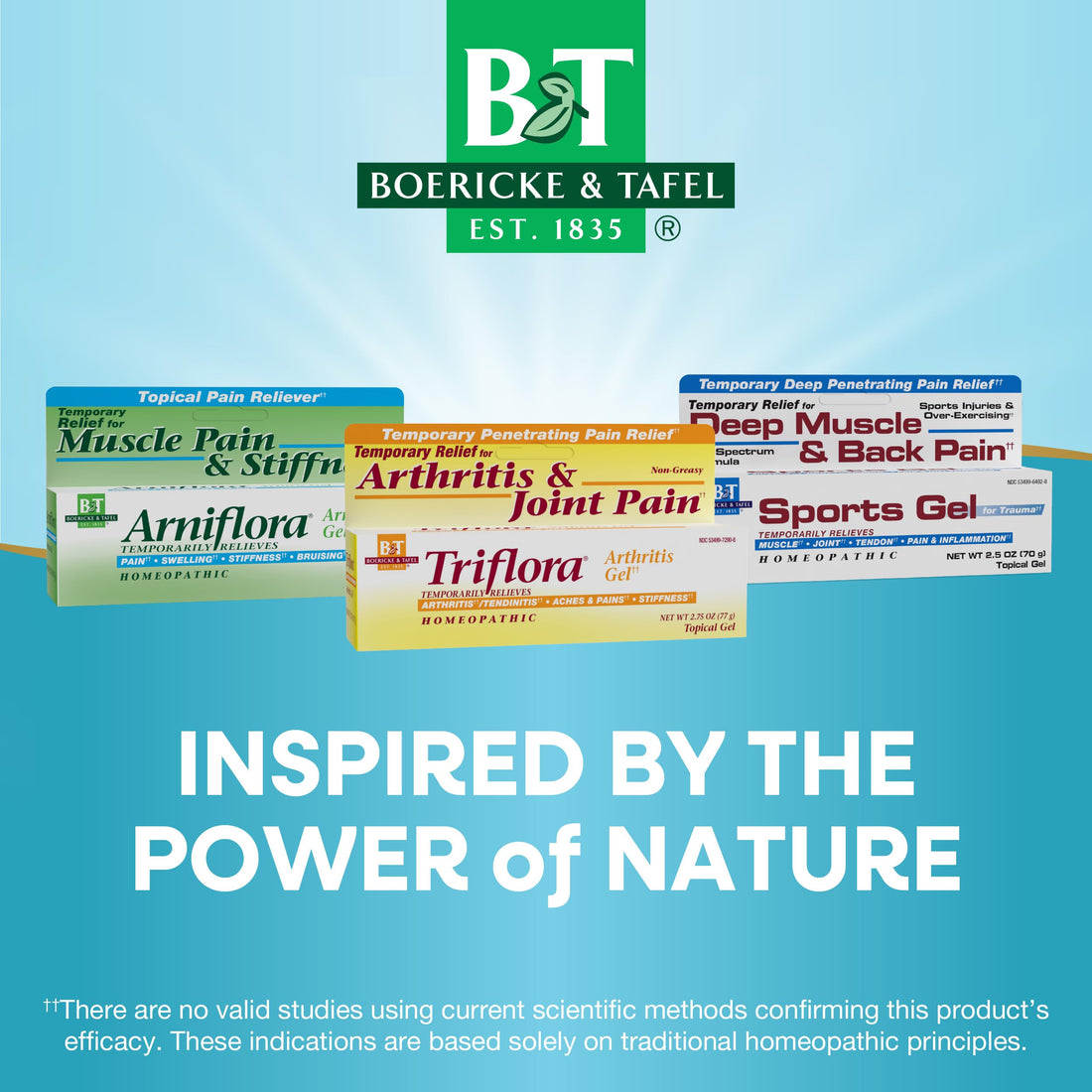 Boericke and Tafel Triflora Arthritis Gel, 2.75 Ounce Nature's Way buy supplements canada