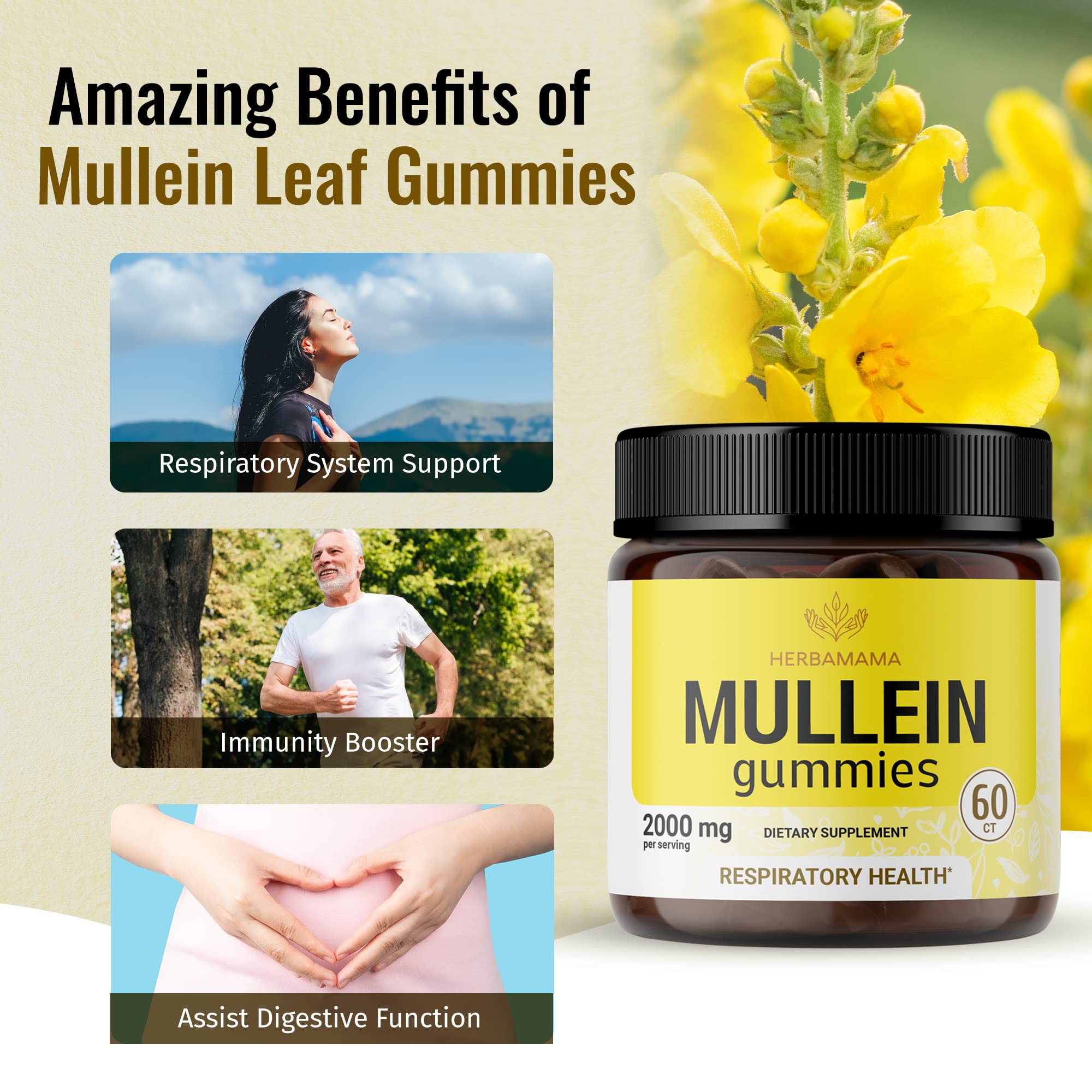 HERBAMAMA Mullein Gummies - Mullein Leaf Dietary Supplement for Respiratory HERBAMAMA buy supplements canada