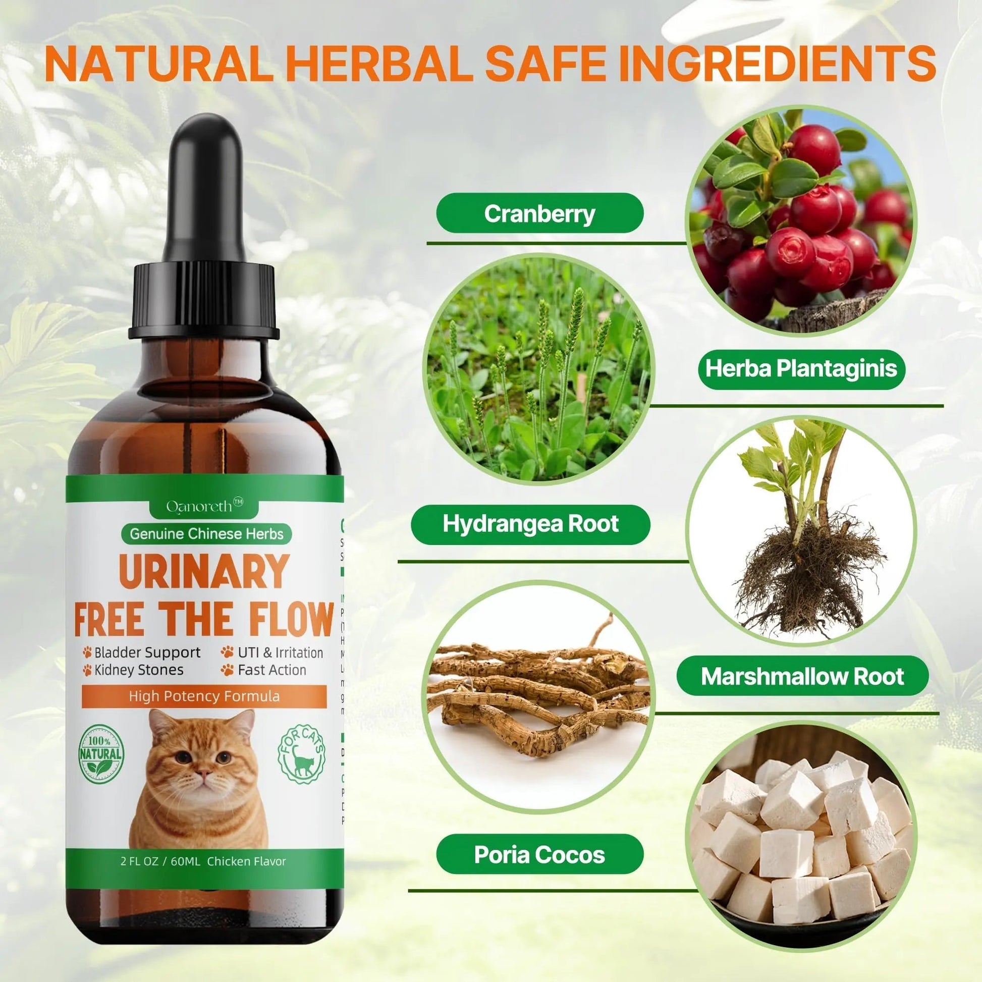 Cat Bladder Remedy for Stones & Crystals, Kidney StonesDissolver forCat- Urinary Free The Flow - Cat Urinary Tract Infection Treatment for Stones, Herbal CatUTI Remedy for Stone Relief & Prevention Qanoreth buy supplements canada