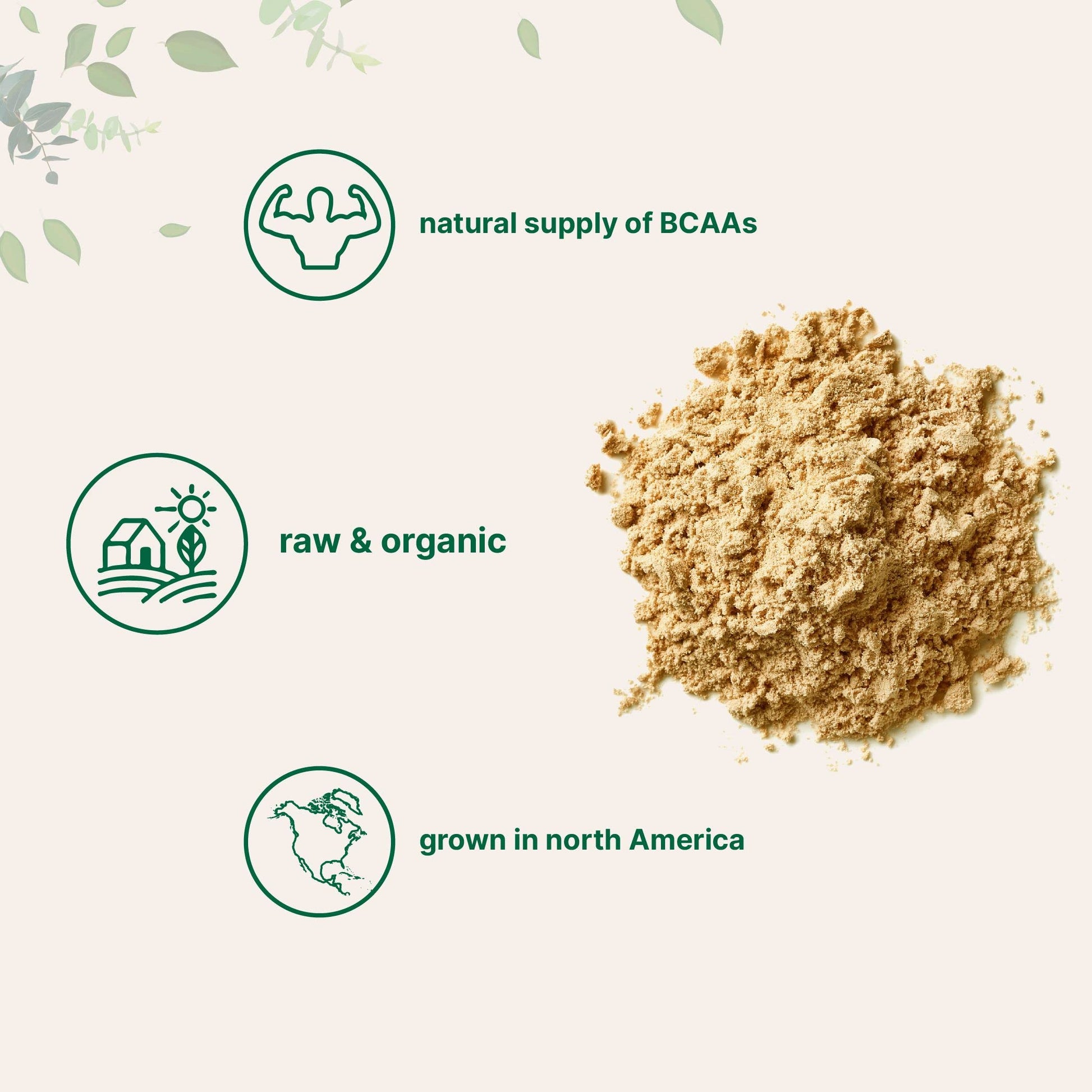 North America Grown, Organic Pea Protein Powder, 1KG (2.2 Pounds) | Plant-Based Vegan Protein, Meatless Protein Supplement, Natural Branched Chain Amino Acids | Non-GMO, Soy Free Micro Ingredients buy supplements canada