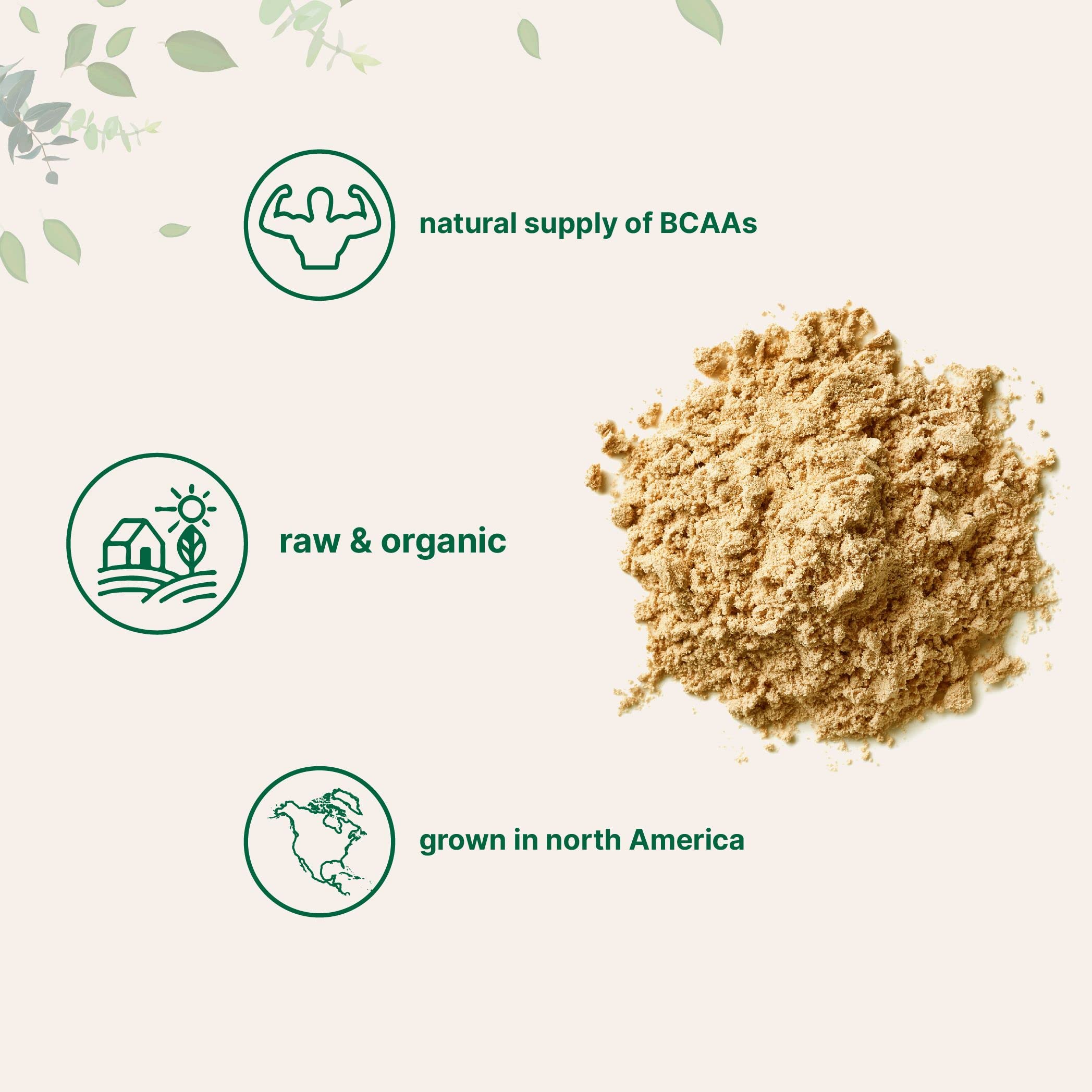 North America Grown, Organic Pea Protein Powder, 1KG (2.2 Pounds) | Plant-Based Vegan Protein, Meatless Protein Supplement, Natural Branched Chain Amino Acids | Non-GMO, Soy Free Micro Ingredients buy supplements canada
