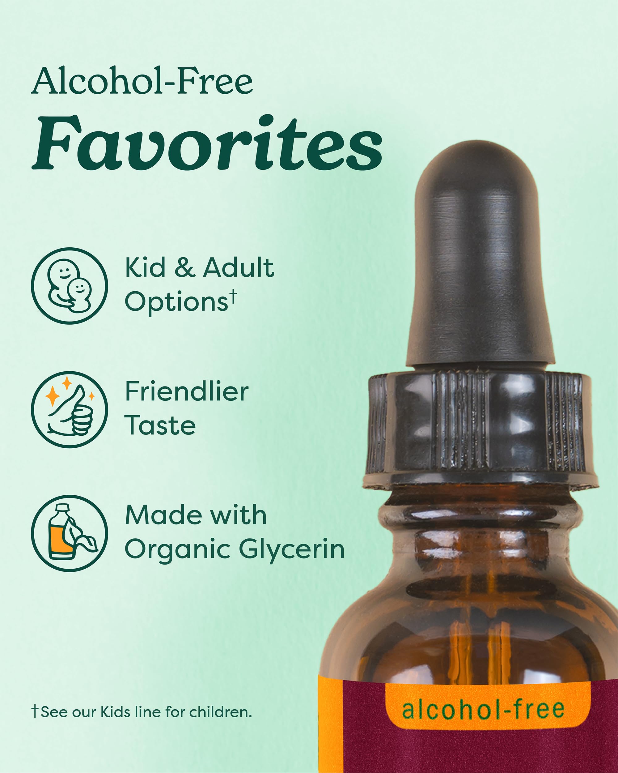 Herb Pharm, Lemon Balm Alcohol Free, 1 Fl Oz Herb Pharm buy supplements canada