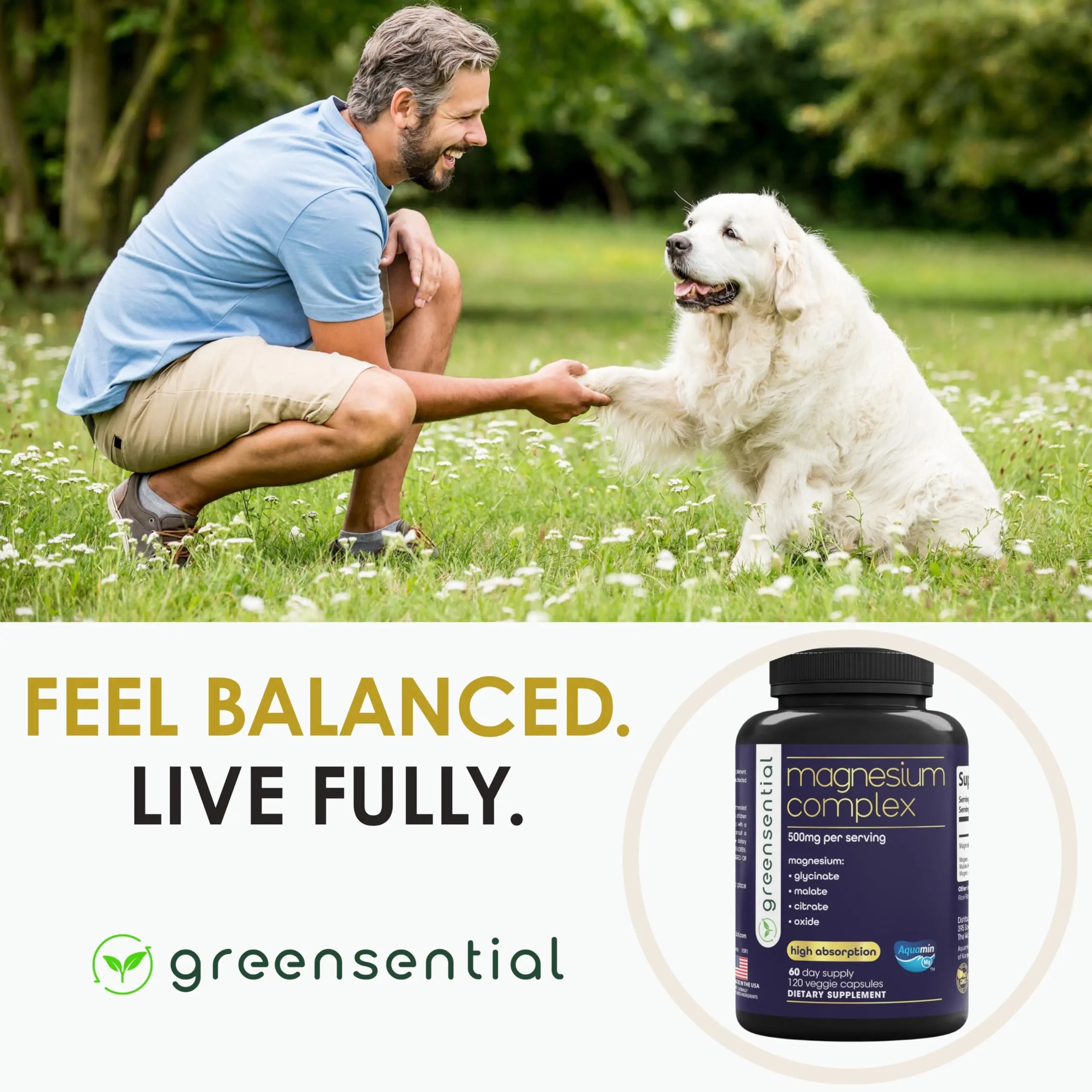 Greensential 5-in-1 Magnesium Complex 500mg | Glycinate, Malate, Citrate, Oxide & Aquamin® | for Sleep, Muscle & Heart Support | High Absorption, Vegan, 120 Capsules Greensential buy supplements canada