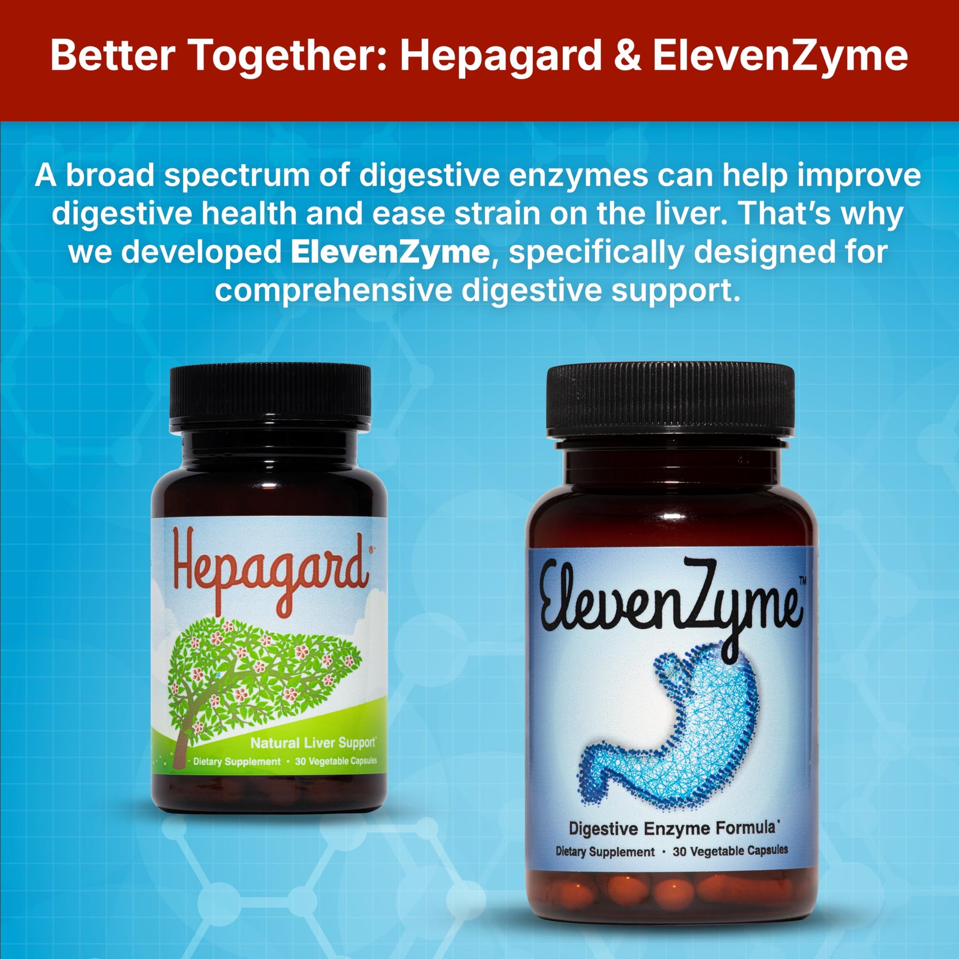 Hepagard - Natural Liver Support Supplement with N-Acetyl Cysteine (NAC) - Non-GMO, Vegan, Gluten-Free Hepagard buy supplements canada