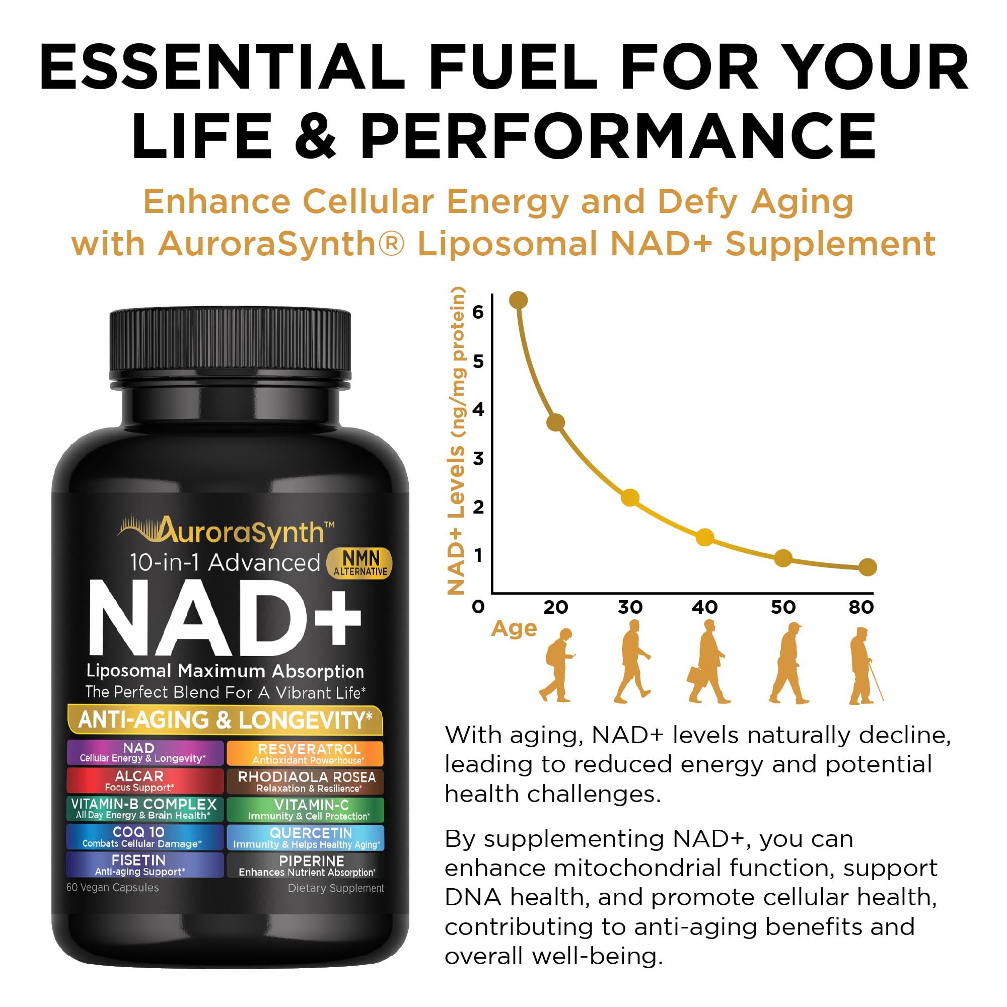 NAD+ Supplement Liposomal Capsules - Max Absorption for Cellular Energy, Healthy Aging, Brain Function & DNA Health - Vegan, Non-GMO, Gluten-Free Supplement - 60 Capsules - Supports NAD Levels AuroraSynth buy supplements canada