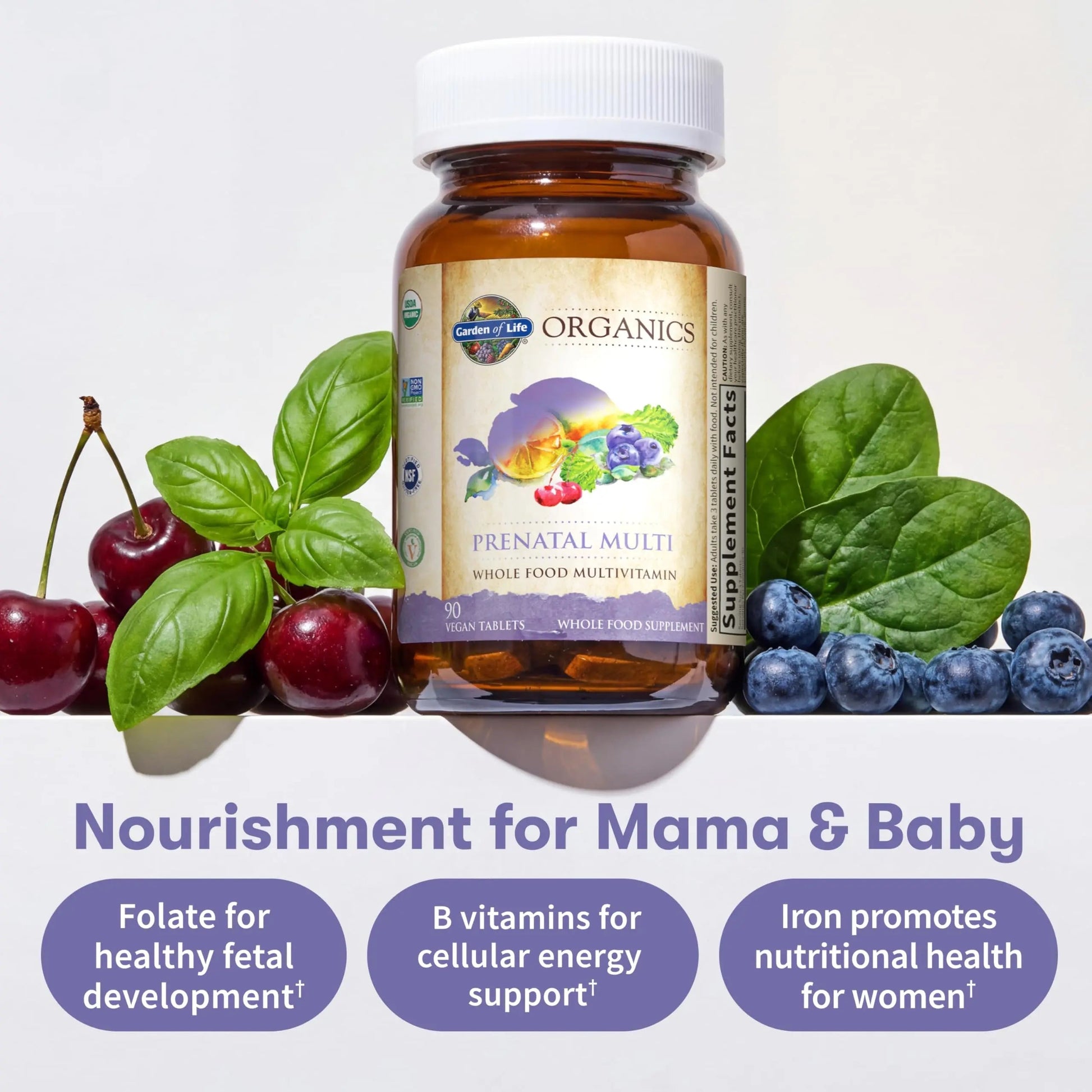 Garden of Life Organics, Prenatal Multi, 90 Vegan Tablets Garden of Life buy supplements canada
