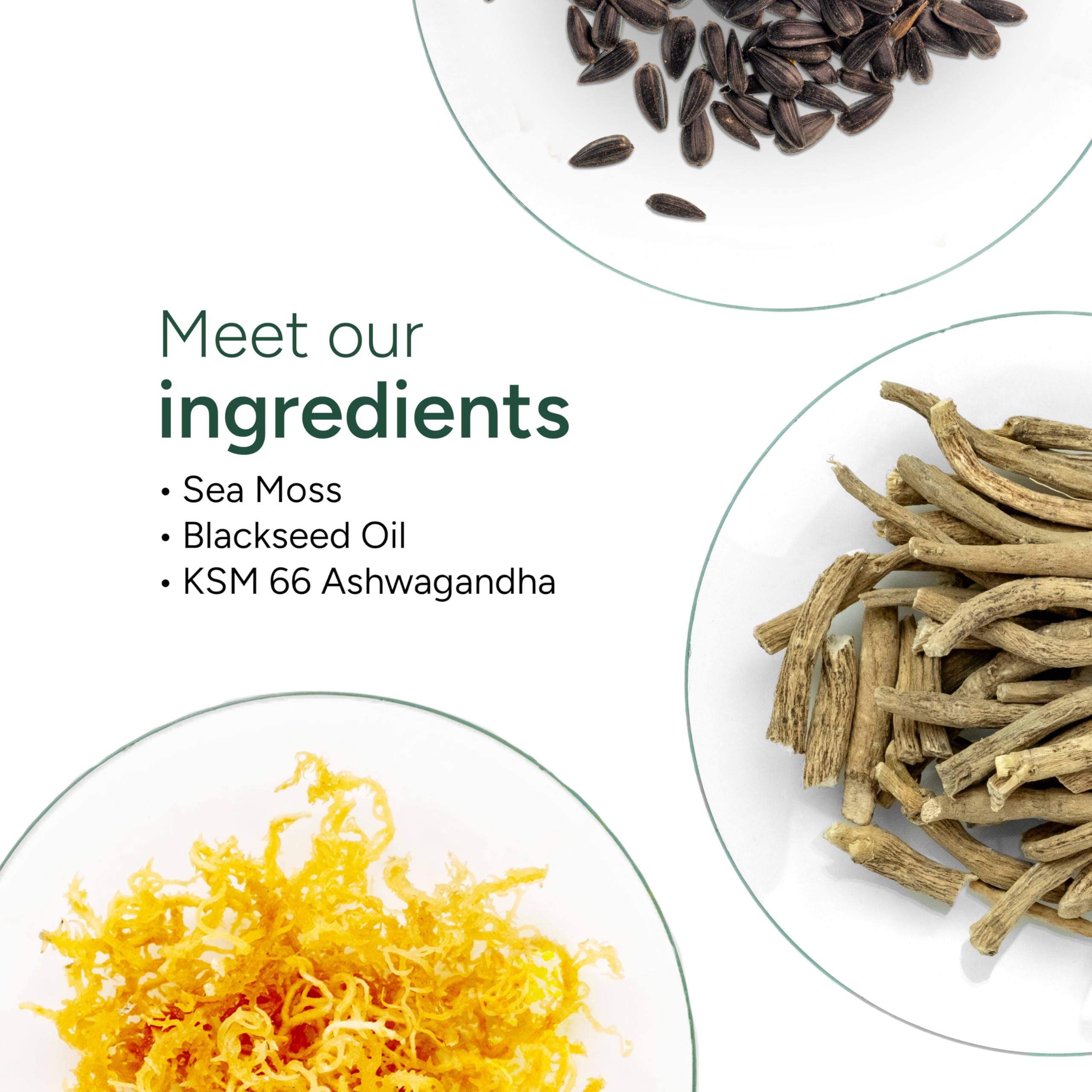 ROOT LABS Sea Moss Gummies I 92+ Minerals I Black Seed Oil I KSM 66 Ashwagandha I Lab Tested I No Added Sugar | for Men, Women I Non-GMO I 100% Natural & Organic I 1600 mg I 120 Gummy ROOT LABS buy supplements canada