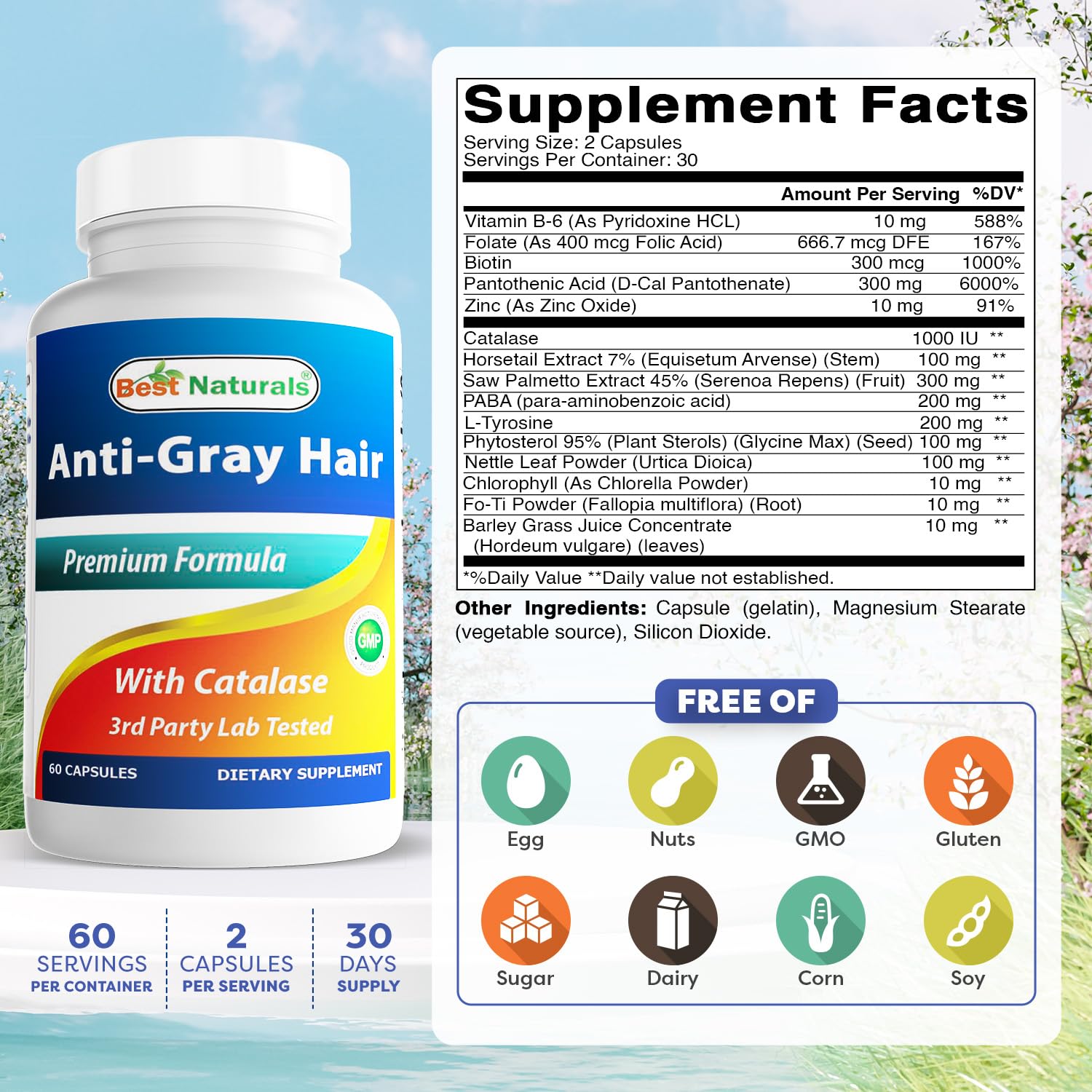 Best Naturals Anti Gray Hair Formula, 60 Count Best Naturals buy supplements canada