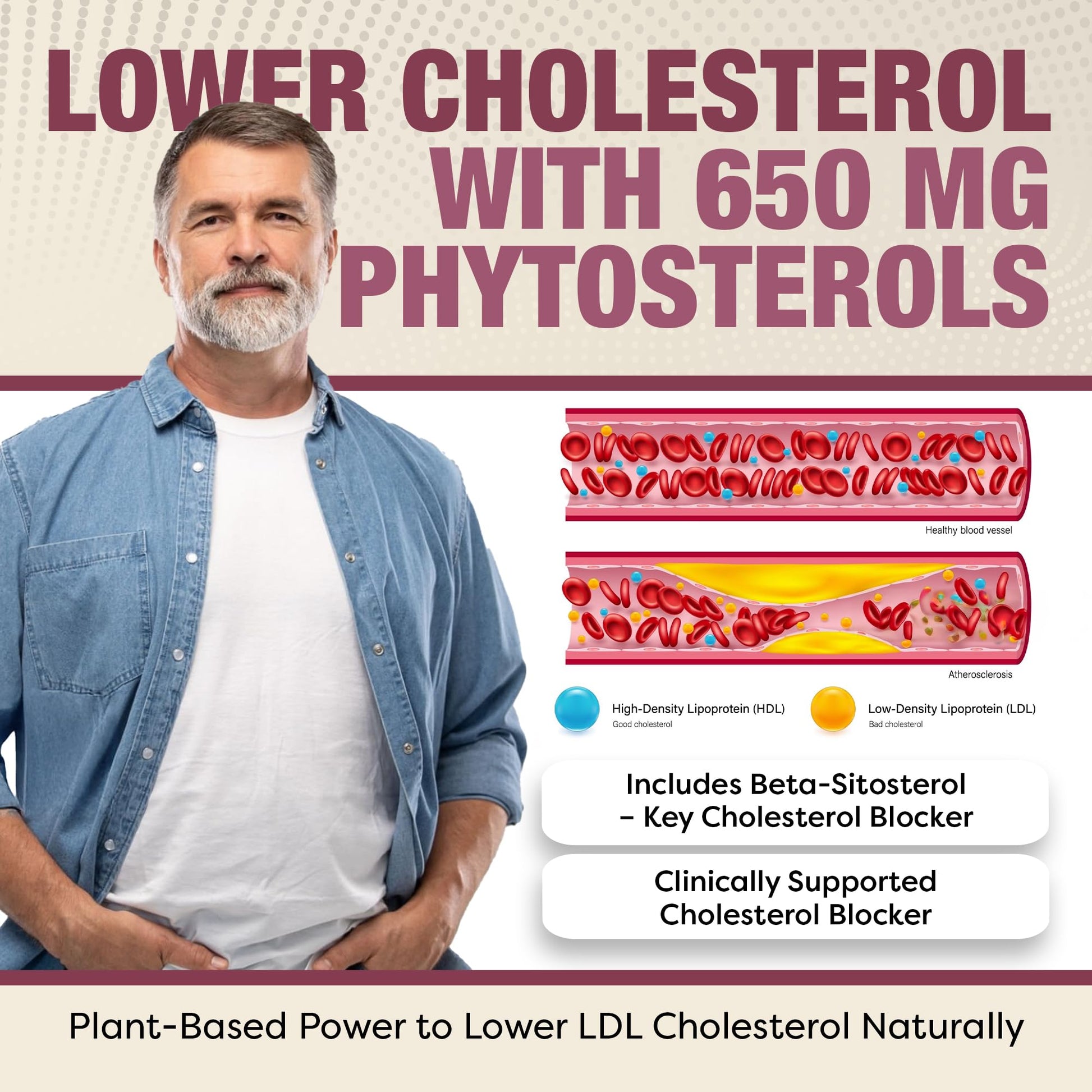 Advanced Cholesterol Health Complex with Plant Sterols. Cholesterol & Lipid Support Supplement for Healthy Heart & Cholesterol Levels for Men & Women. 120 Capsules RHP buy supplements canada
