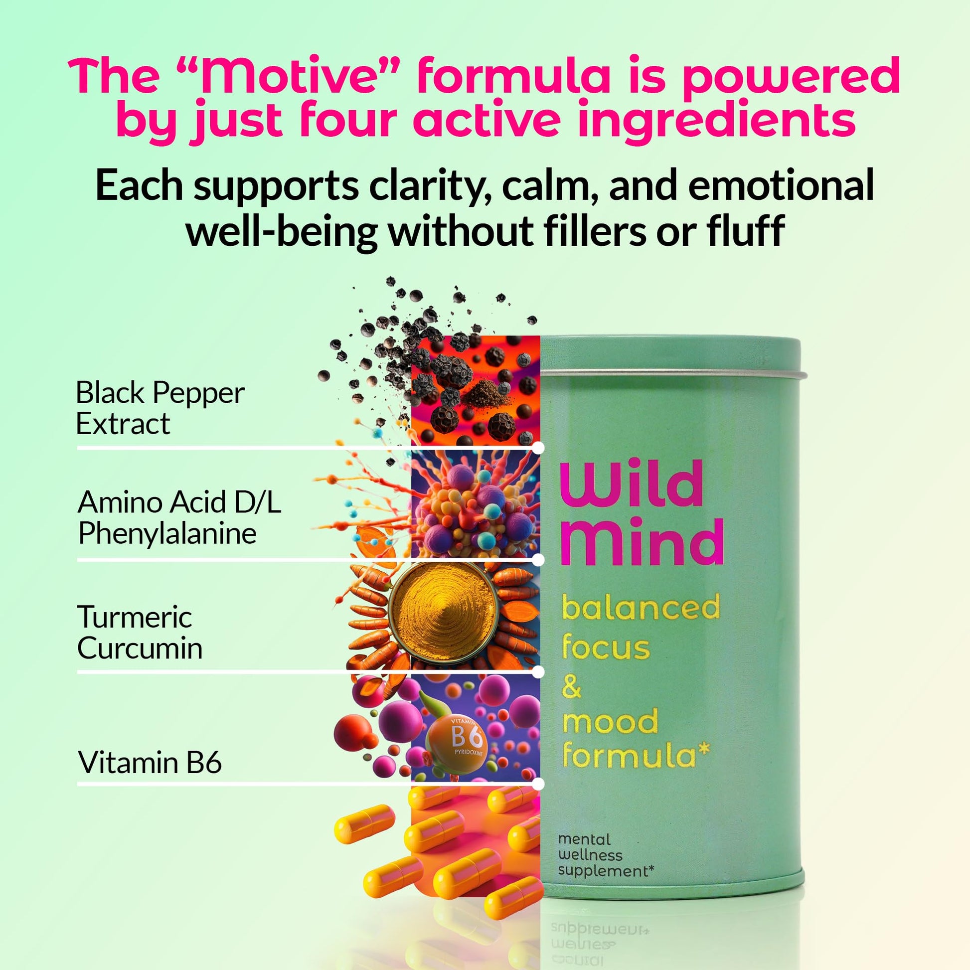 Wild Mind Mental Clarity Balanced Focus & Mood Support Supplement for Mental Wellness– 4-Ingredient Nootropic Brain Support for Calm & Energy – Vegan, 90 Capsules, 30-Day Supply Wild Mind buy supplements canada
