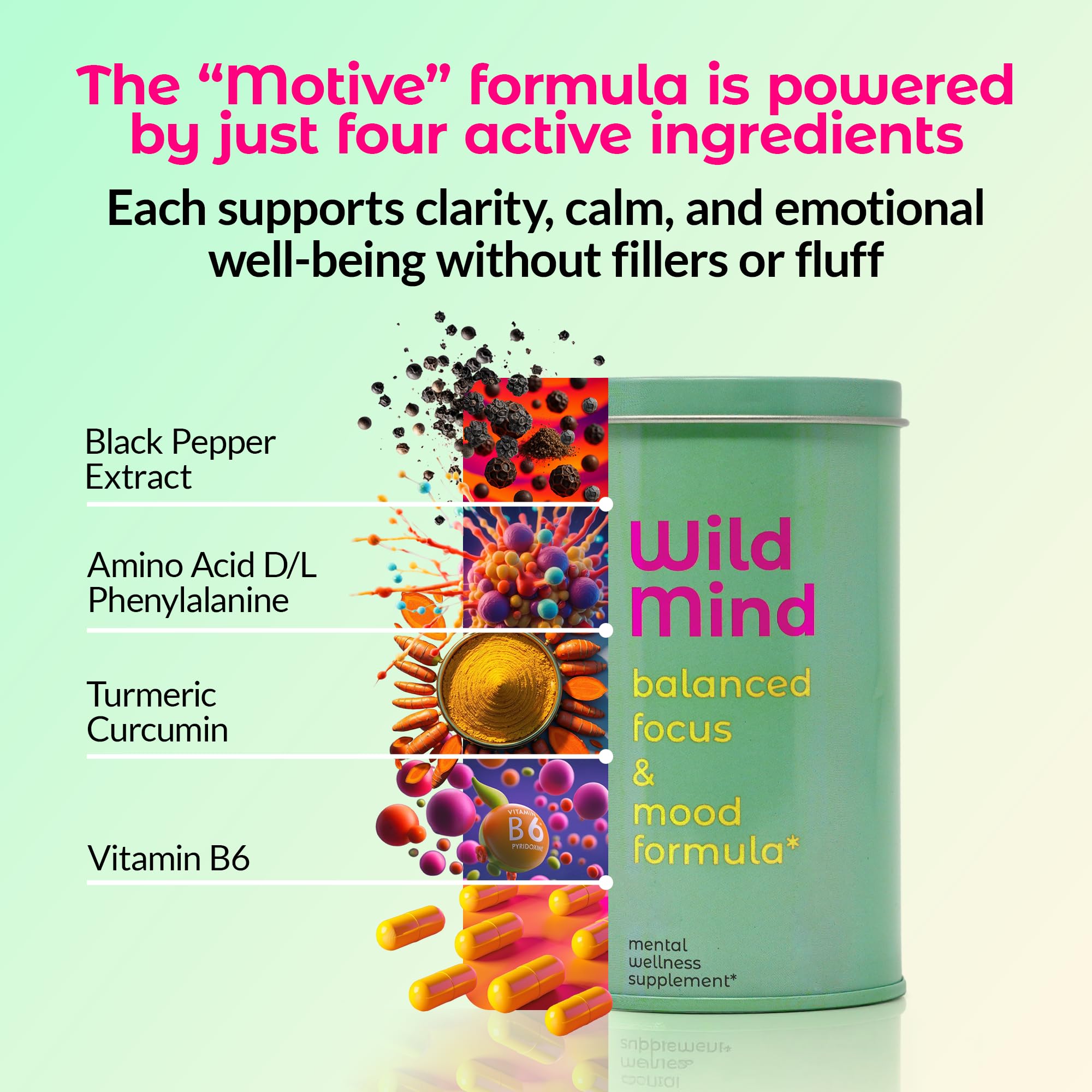 Wild Mind Mental Clarity Balanced Focus & Mood Support Supplement for Mental Wellness– 4-Ingredient Nootropic Brain Support for Calm & Energy – Vegan, 90 Capsules, 30-Day Supply Wild Mind buy supplements canada