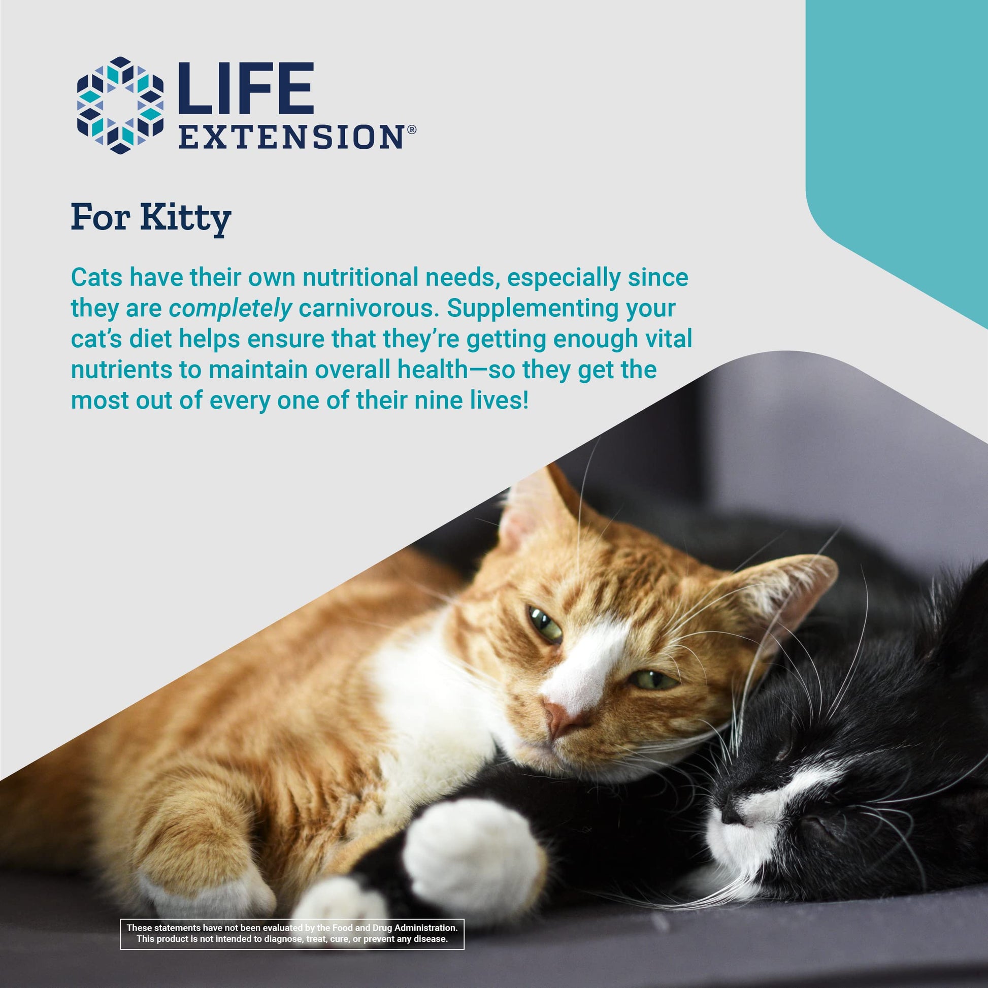Life Extension Cat Mix – For Heart, Kidney & Pancreatic Function + Gut Health Life Extension buy supplements canada