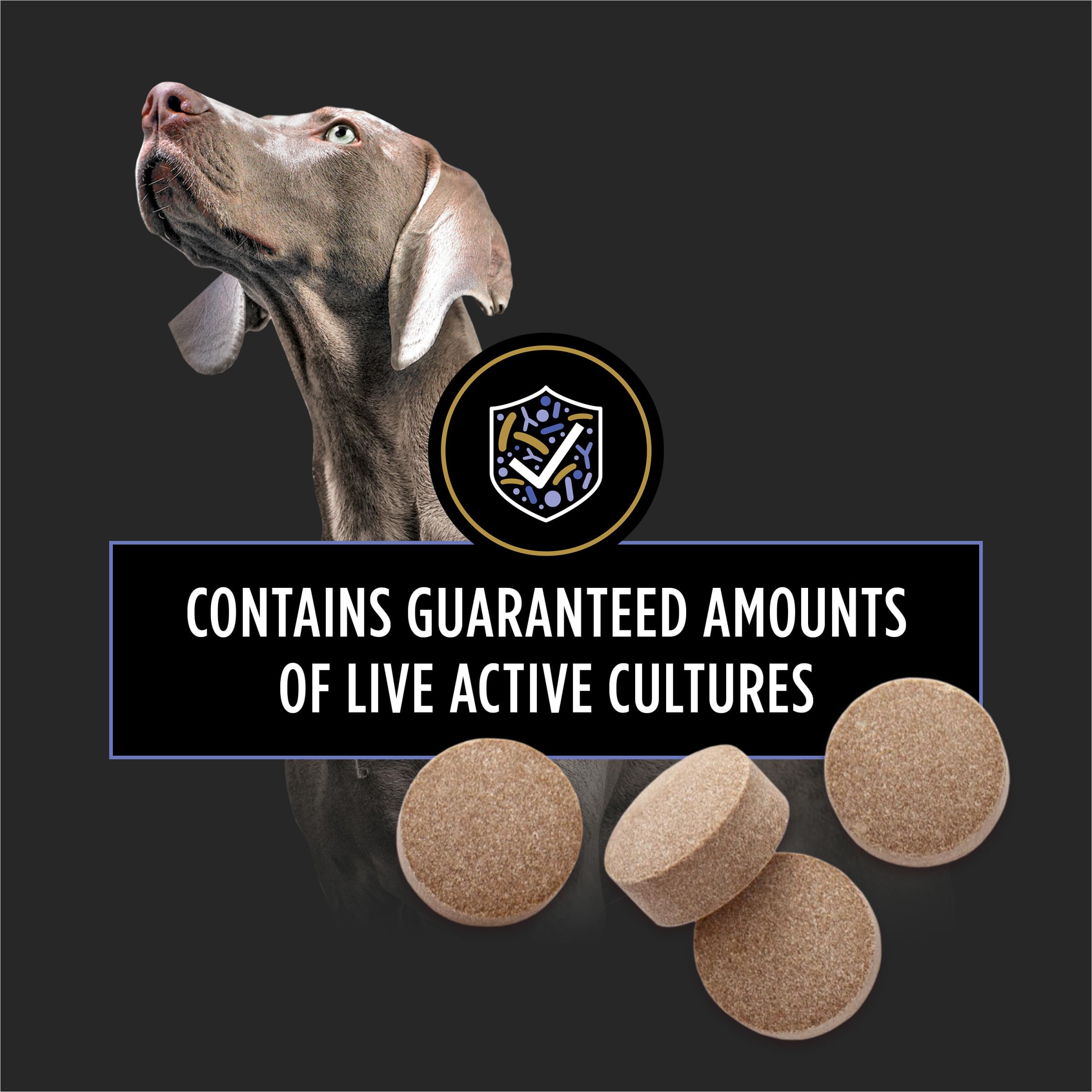 Purina Pro Plan Veterinary Supplements FortiFlora Daily Probiotics for Dogs Chewable Tablets for Digestive Gut Health and Diarrhea - 90 ct. Canister Pro Plan Veterinary Diets buy supplements canada
