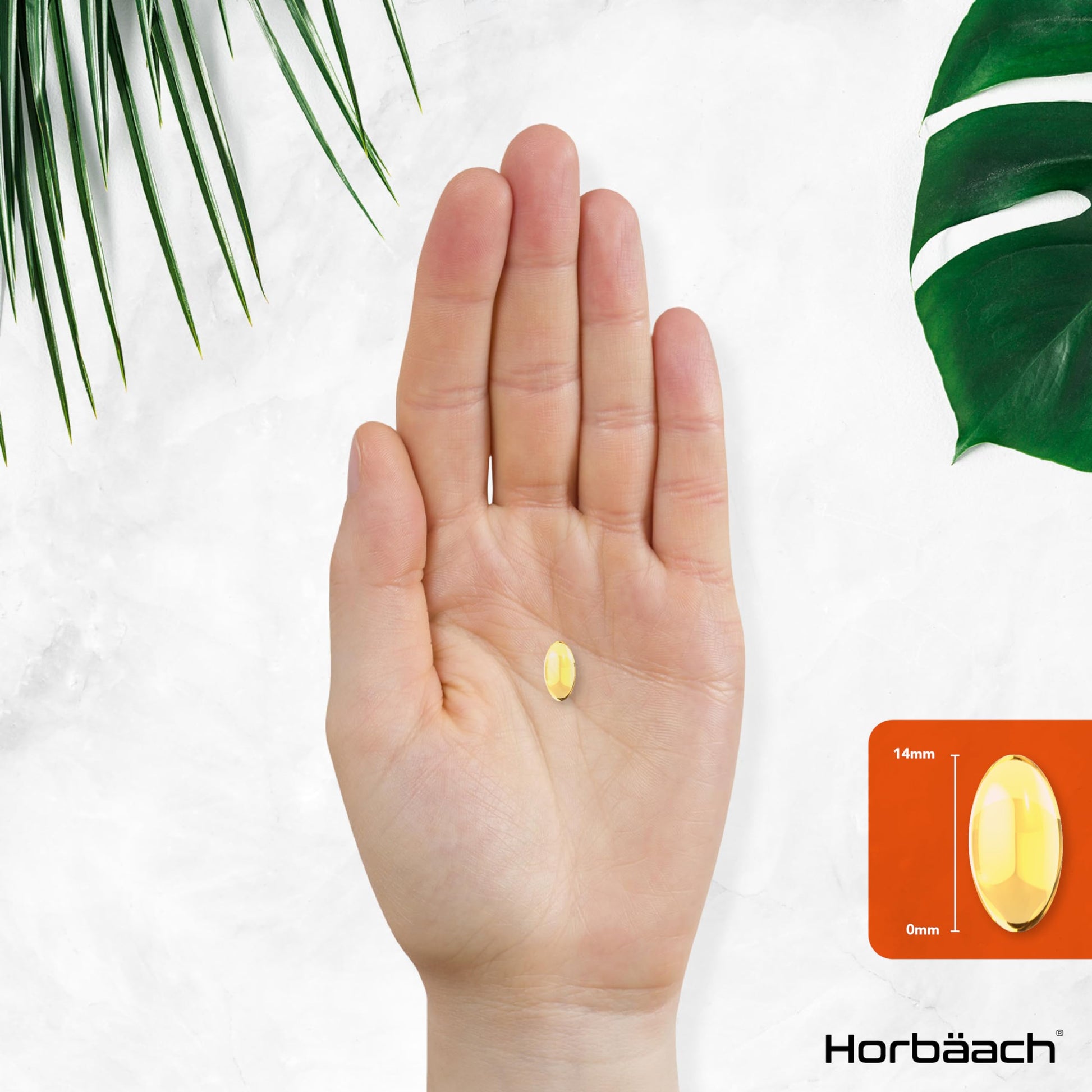 Vitamin A Capsules 10,000iu | 365 Count (1 Year Supply) | High Strength Vitamin A Supplem Horbäach buy supplements canada