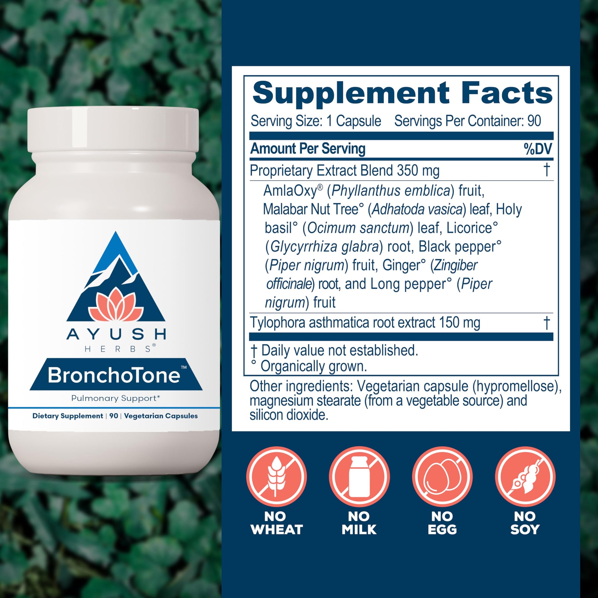 Ayush Herbs Bronchotone - Bronchial Support, Respiratory and Immune-Support Support Supplement for Women & Men, Adults, Pulmonary Care Supplement - 90 Vegetarian Capsules (1 Count) Ayush Herbs buy supplements canada