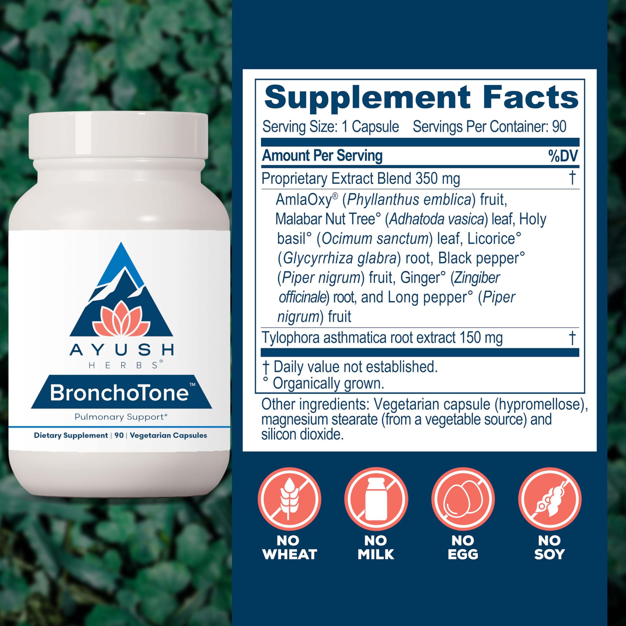Ayush Herbs Bronchotone - Bronchial Support, Respiratory and Immune-Support Support Supplement for Women & Men, Adults, Pulmonary Care Supplement - 90 Vegetarian Capsules (1 Count) Ayush Herbs buy supplements canada