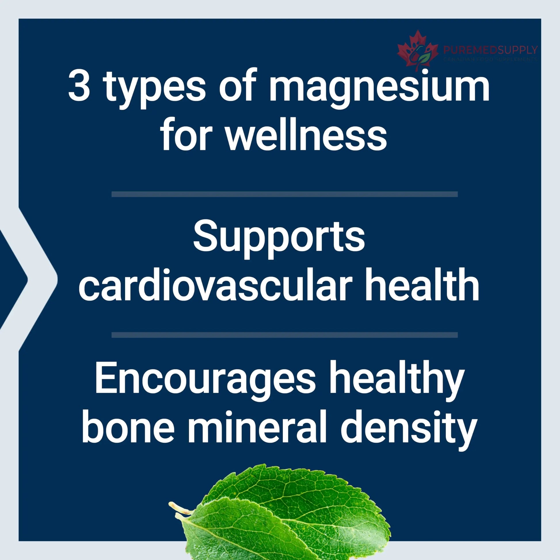 Life Extension Magnesium Caps, 500 mg, Magnesium Oxide, Citrate, and Succinate, Heart Health, Healthy Bones, Metabolism Support, 100 Vegetarian Capsules Life Extension buy supplements canada