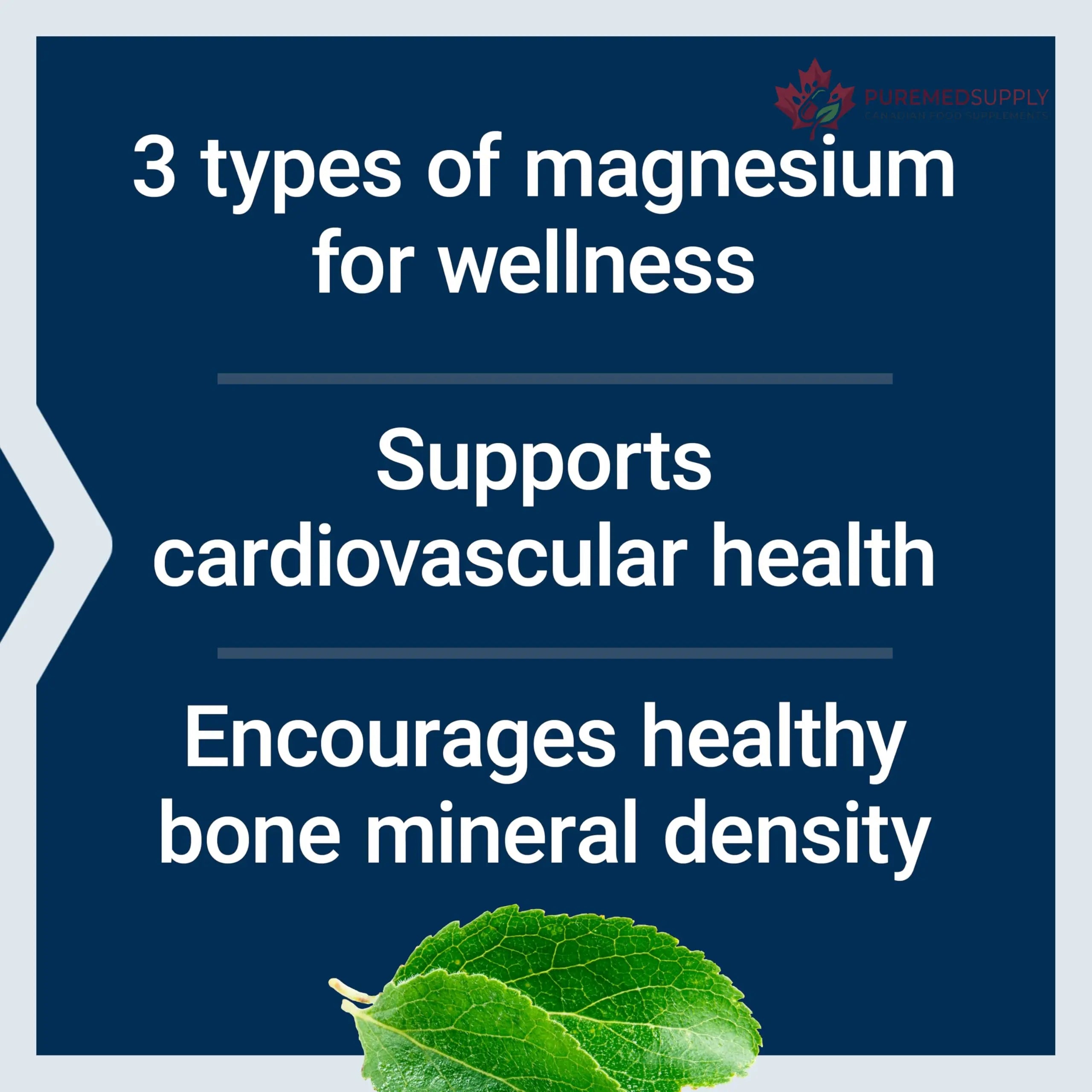 Life Extension Magnesium Caps, 500 mg, Magnesium Oxide, Citrate, and Succinate, Heart Health, Healthy Bones, Metabolism Support, 100 Vegetarian Capsules Life Extension buy supplements canada