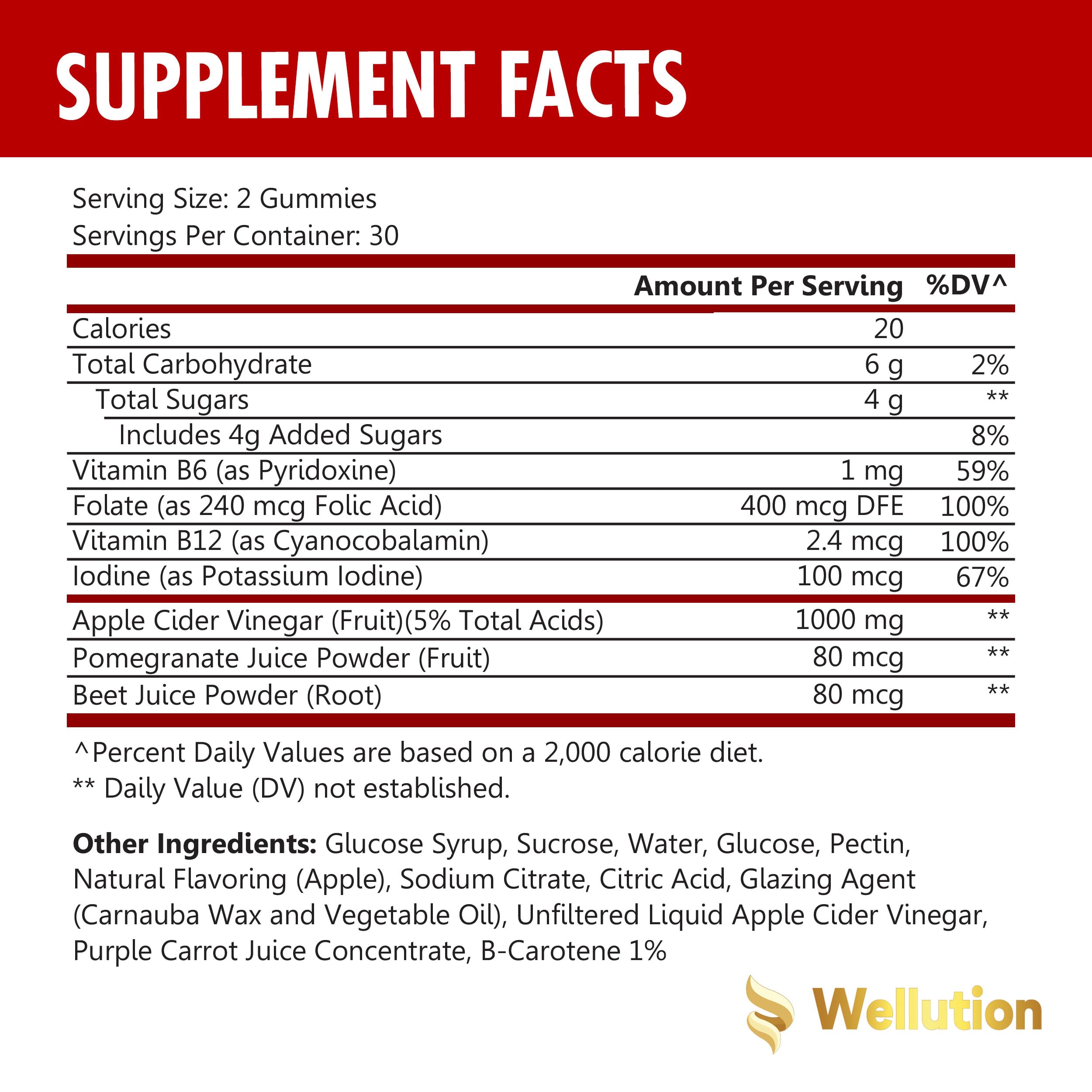 WELLUTION (2 Pack Gummies Apple Cider Vinegar - Formulated to Support Healthy Weight WELLUTION buy supplements canada