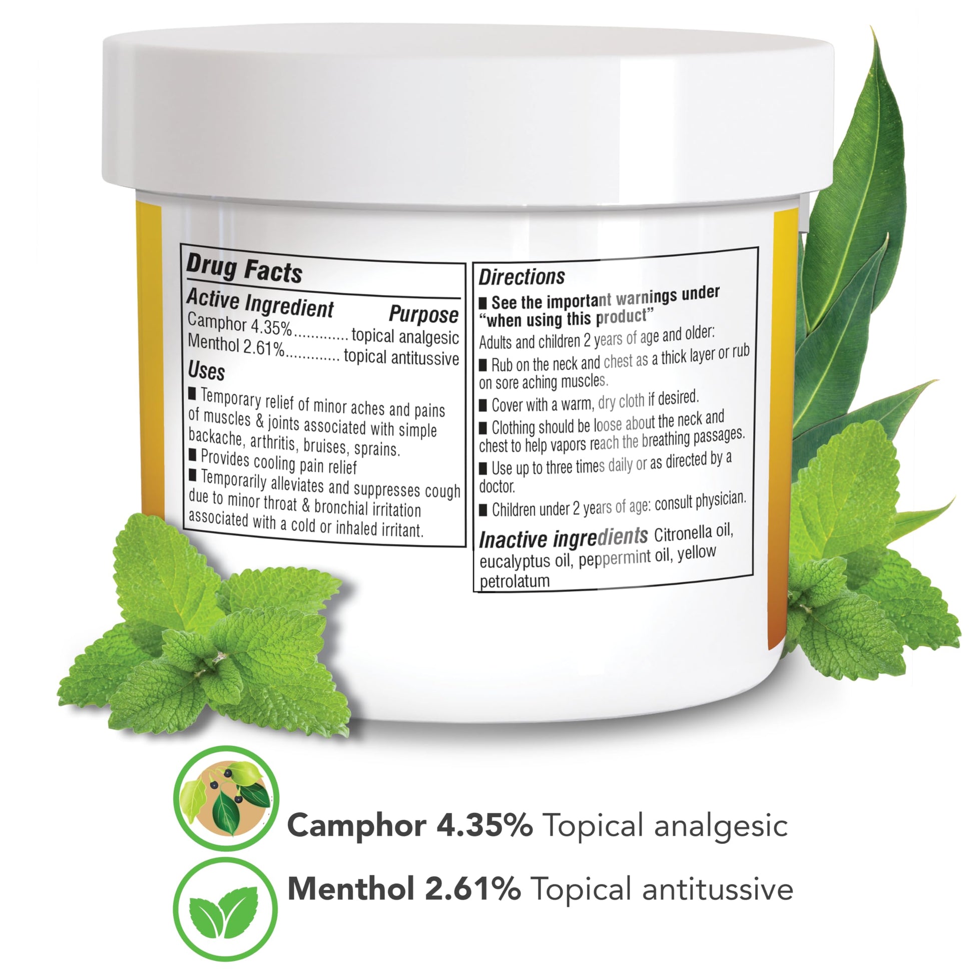 Botanic Choice Eucamint-Pain Relieving Ointment-Muscle, Joints, Sinus, Coughs Botanic Choice buy supplements canada