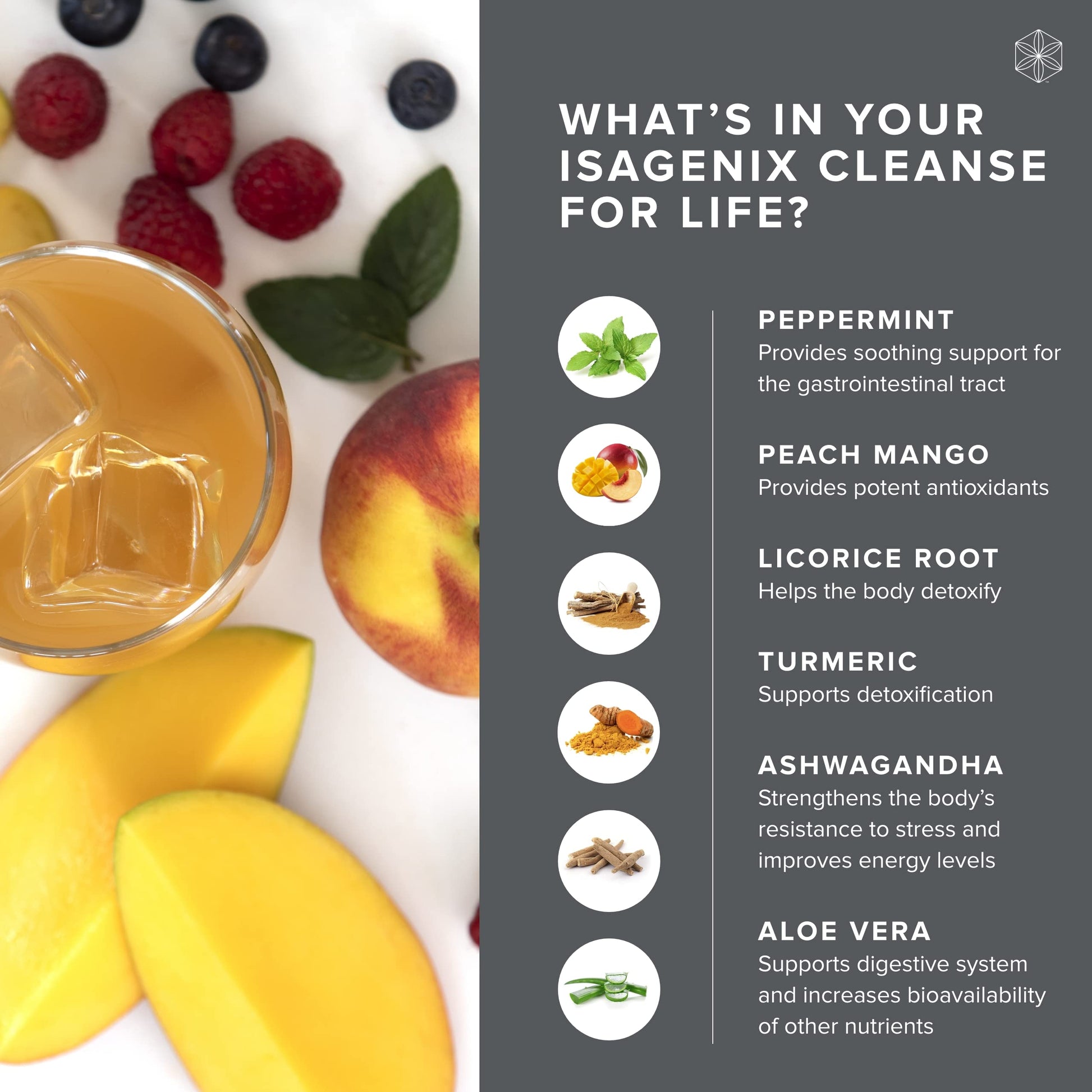 Isagenix Cleanse for Life - Detox System Support with Vitamins & Minerals Isagenix buy supplements canada