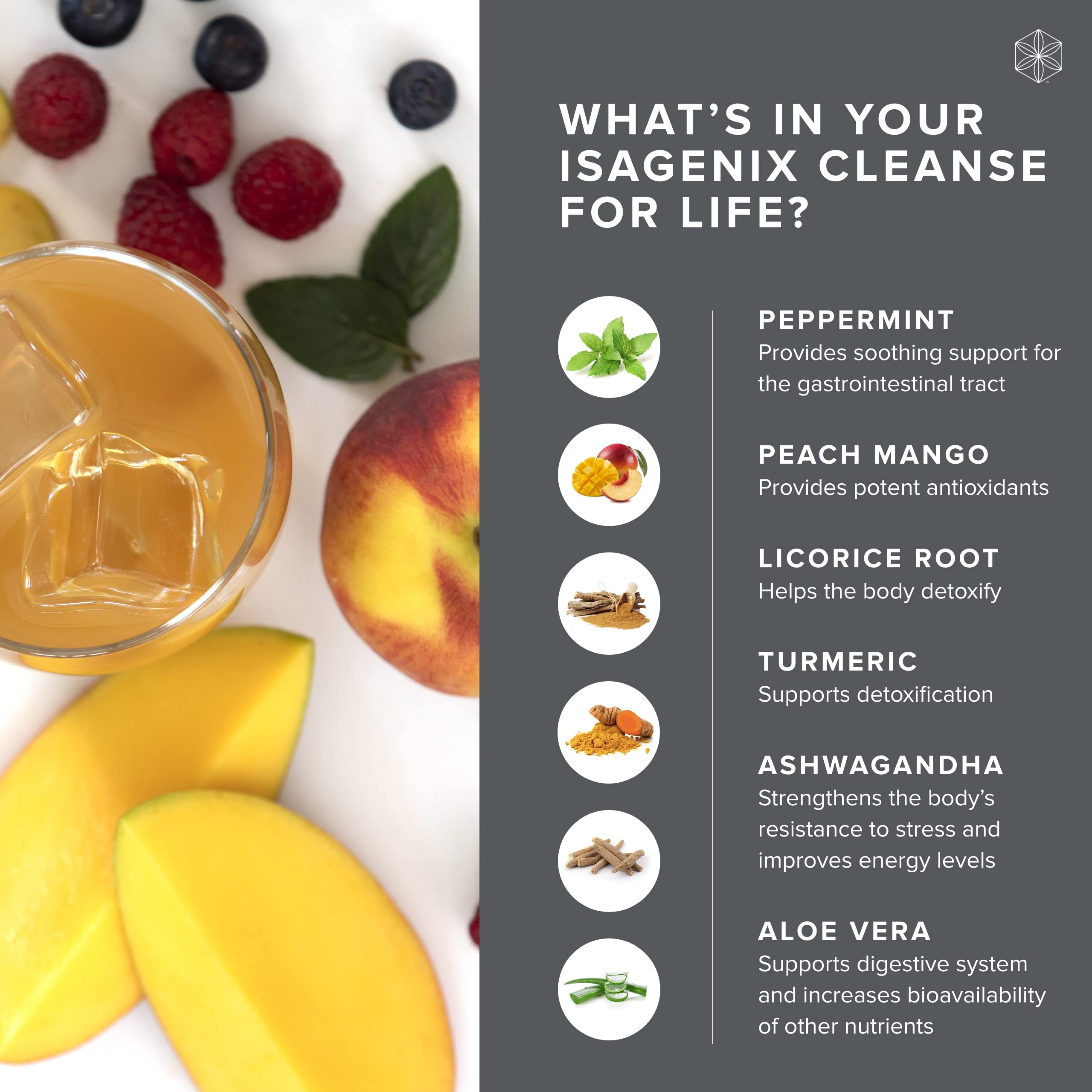 Isagenix Cleanse for Life - Detox System Support with Vitamins & Minerals Isagenix buy supplements canada