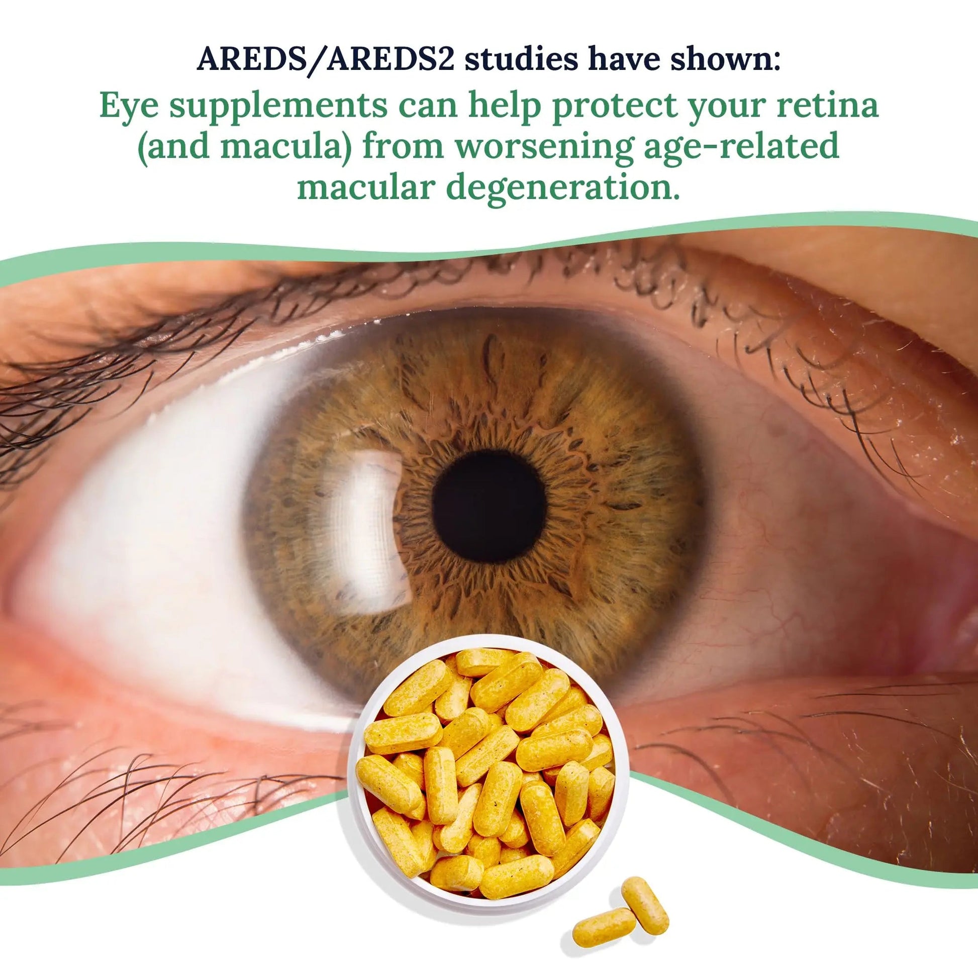 CorneaCare Vitamins and Minerals | Multivitamin for Vision & Health | Dry Eye Supplements | 60 Tablets CorneaCare buy supplements canada