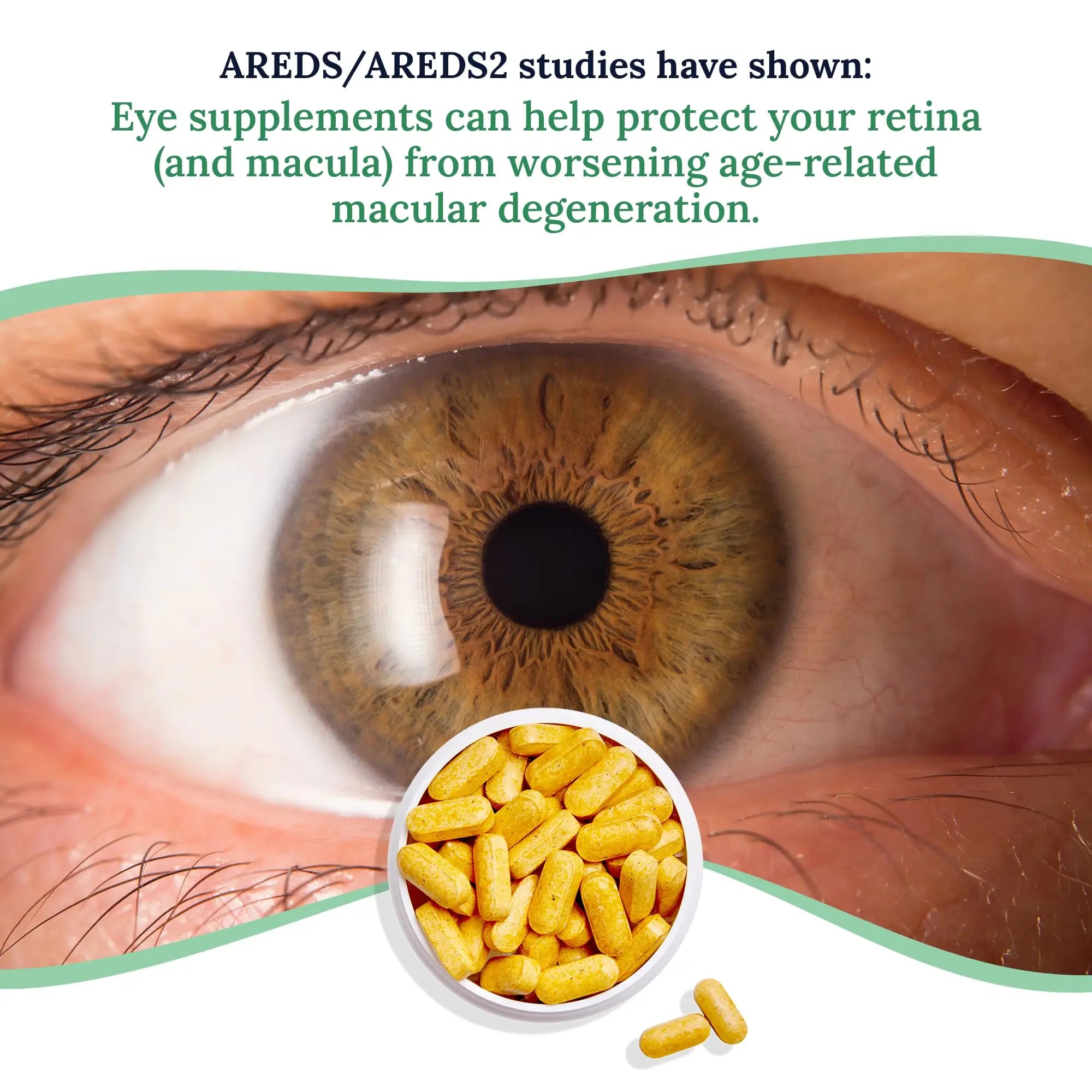 CorneaCare Vitamins and Minerals | Multivitamin for Vision & Health | Dry Eye Supplements | 60 Tablets CorneaCare buy supplements canada