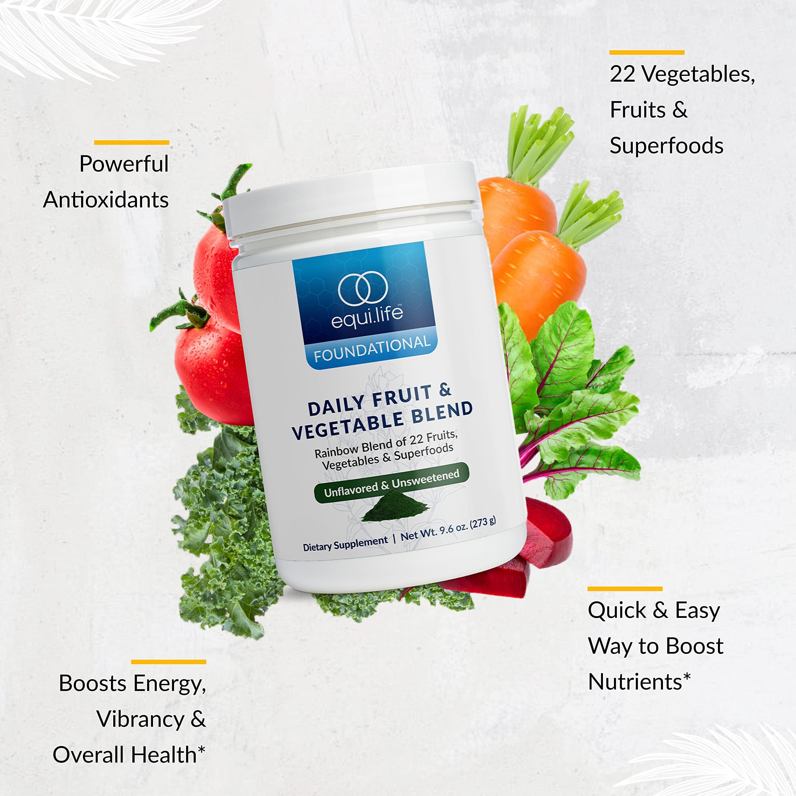 Equilife Daily Fruit & Vegetable Blend, Superfood Antioxidant Supplement with 22 Organic Fruits & Vegetables, Unflavored, Vitamin C, Fiber, 9 Essential Amino Acids, Supports Energy, 30 Servings Tub Equilife buy supplements canada
