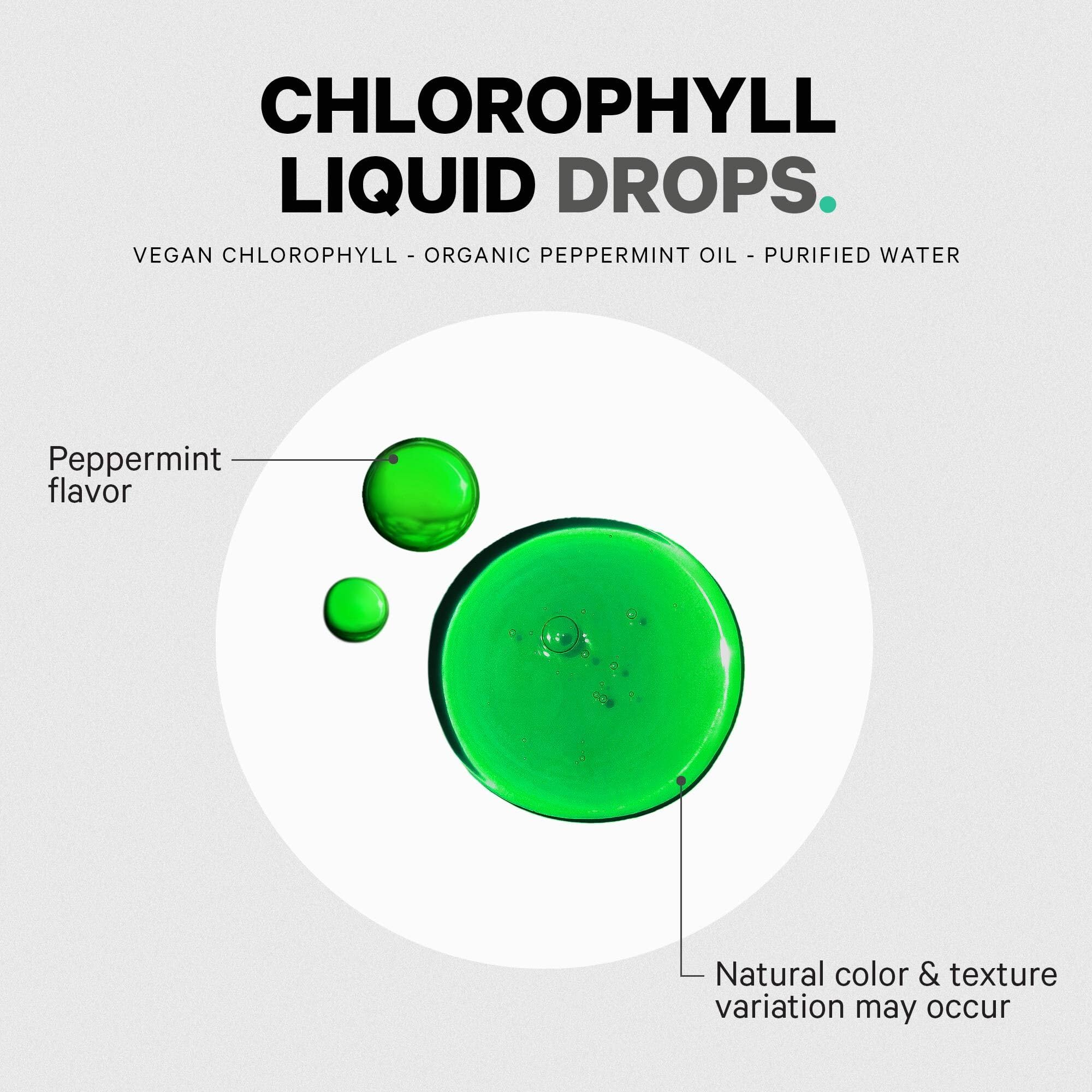 Codeage Chlorophyll Liquid Drops Supplement - Vegan Chlorophyll 50 mg per Serving, Organic Peppermint Flavor Clorofila Drink - Non-GMO, Gluten-Free, Vegan - 2 fl oz Codeage buy supplements canada