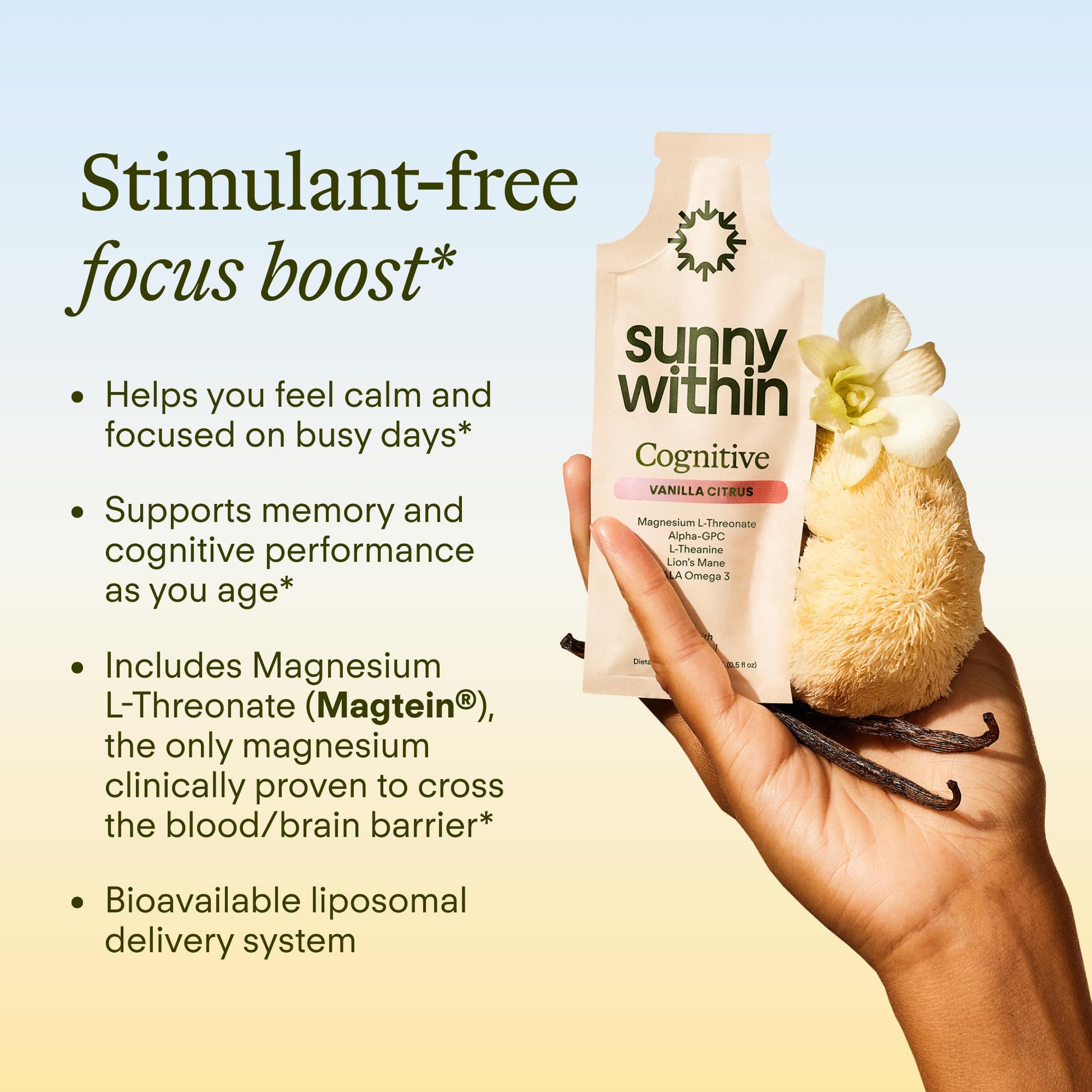 Sunny Within - Brain Health Supplement - Magnesium L-Threonate from Magtein®, Lion’s Mane, Alpha GPC, L-Theanine, ALA & Avocado Oil - Focus, Mood & Memory Support* - 30 Daily Vegan Pouches Sunny Within buy supplements canada