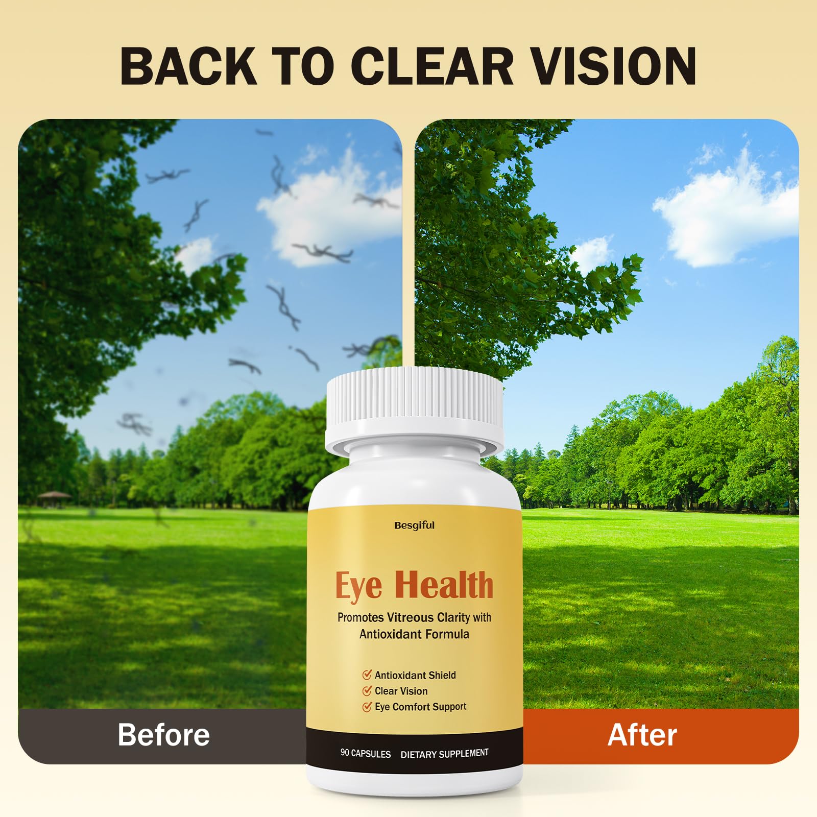 Besgiful Eye Supplement for Vitreous Health, Promotes Clear Vision, Improves Eye Strain & Dryness, Reduces Squiggly Lines, Eye Degeneration, Clear Eye Support, 90 Vegan Capsules Besgiful buy supplements canada