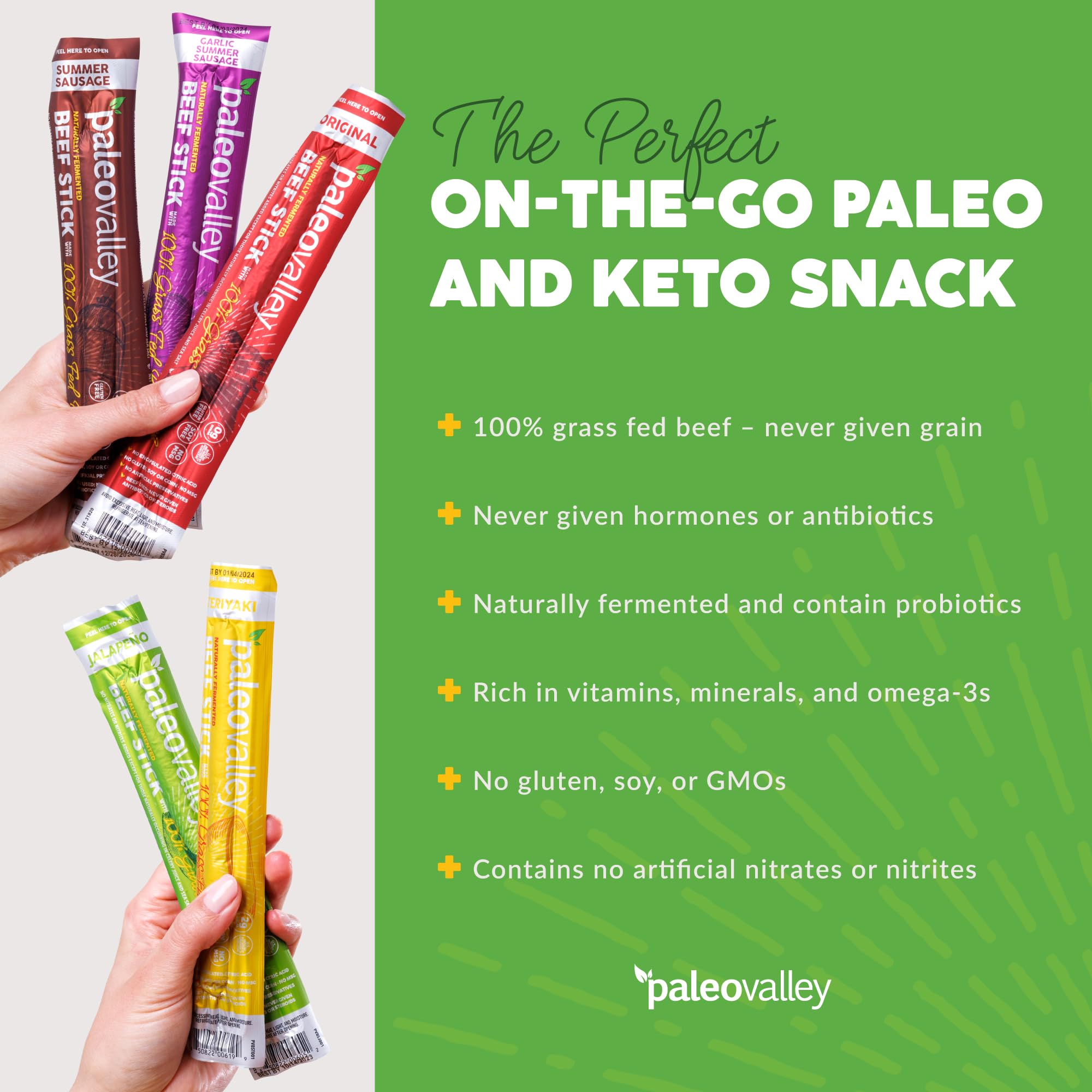 Paleovalley 100% Grass Fed Beef Sticks - Delicious Gluten Free Beef Snack - High Protein Keto Friendly, 50 Count Variety Pack Paleovalley buy supplements canada