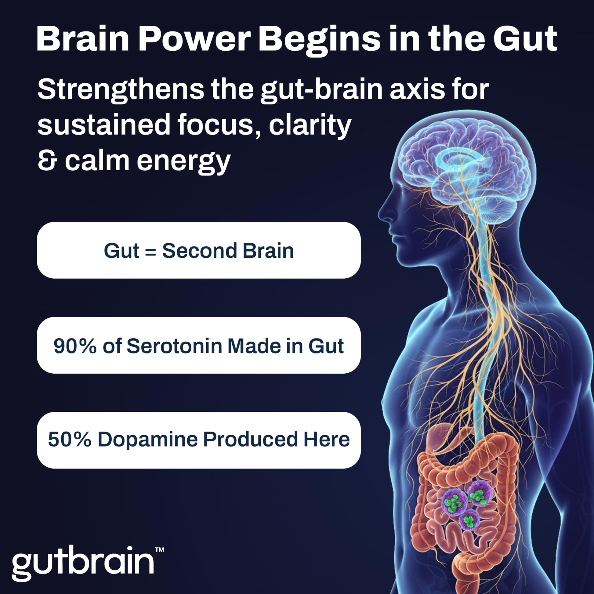 Brain Supplement for Memory and Focus with Probiotics, Advanced 2 in 1 Nootropic Brain Support for Mental Clarity, Caffeine Free Doctor Formulated Supplement, 60 Capsules Purity Labs buy supplements canada