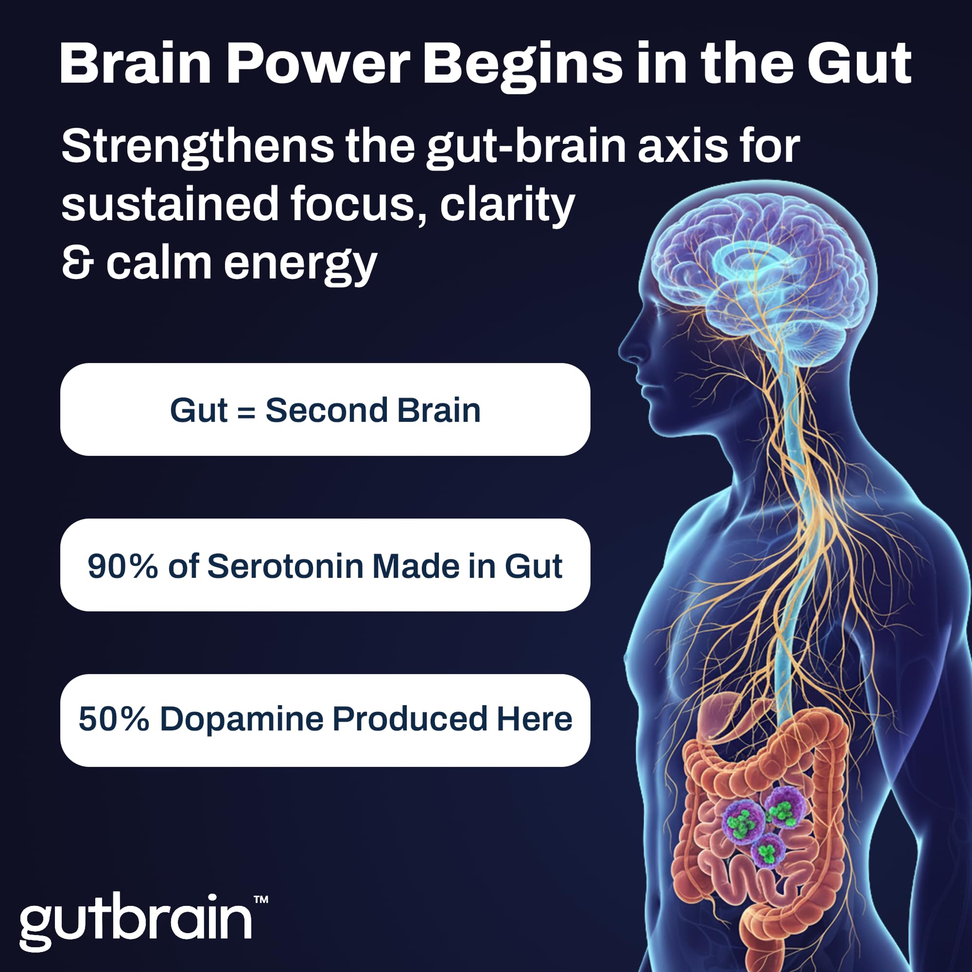 Brain Supplement for Memory and Focus with Probiotics, Advanced 2 in 1 Nootropic Brain Support for Mental Clarity, Caffeine Free Doctor Formulated Supplement, 60 Capsules Purity Labs buy supplements canada