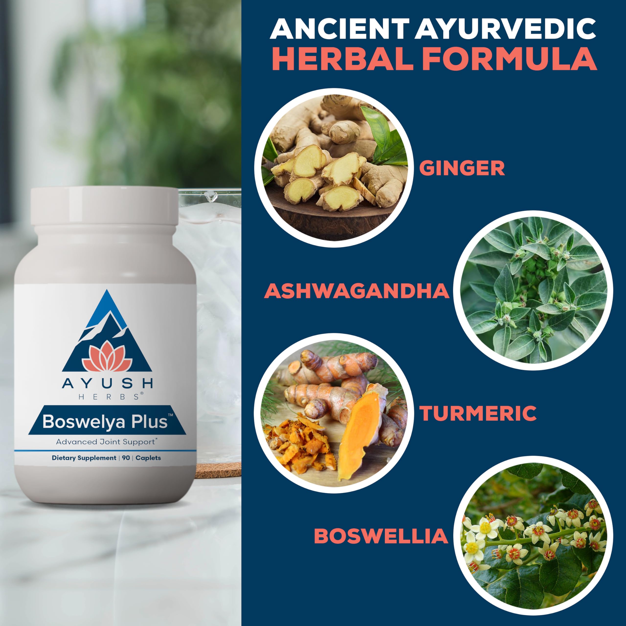 Ayush Herbs Boswelya Plus - Glucosamine Chondroitin Joint Support Supplement, Turmeric Muscle Support for Men & Women, Joint Care with Curcumin - 90 Vegetarian Capsules (1 Count) Ayush Herbs buy supplements canada