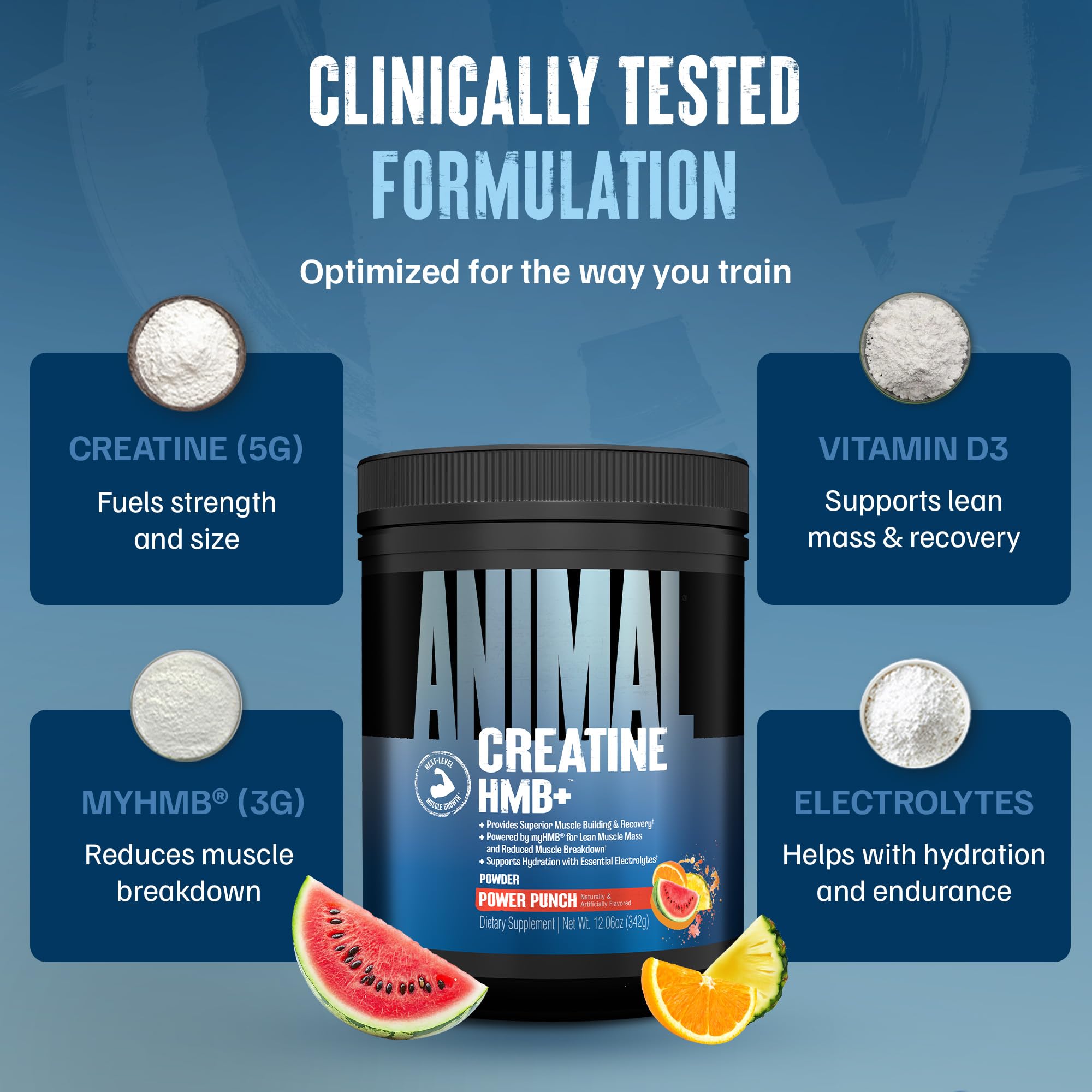Animal Creatine HMB Powder – 3g myHMB + 5g Creatine with Electrolytes for Recovery & Daily Energy – Power Punch Flavor, 30 Servings Animal buy supplements canada