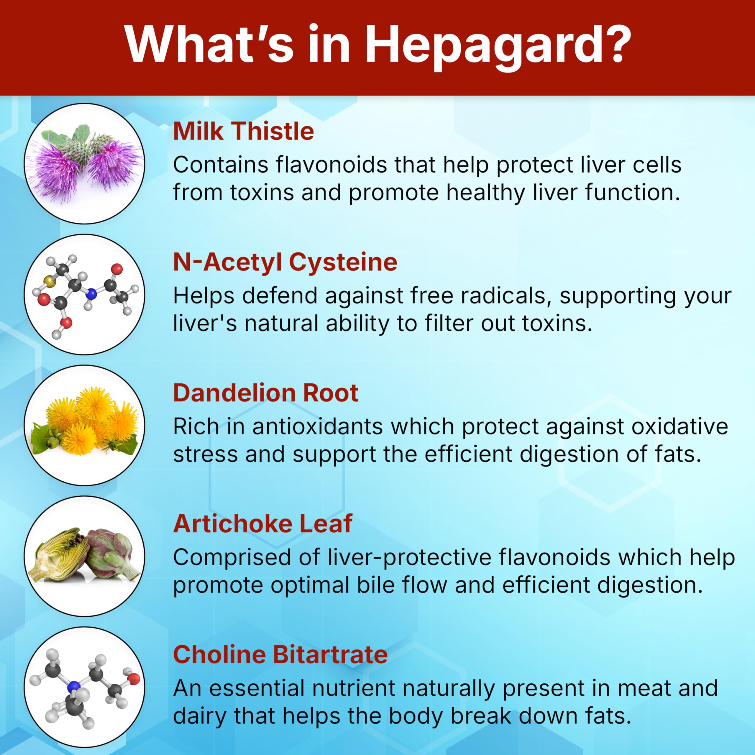 Hepagard - Natural Liver Support Supplement with N-Acetyl Cysteine (NAC) - Non-GMO, Vegan, Gluten-Free Hepagard buy supplements canada