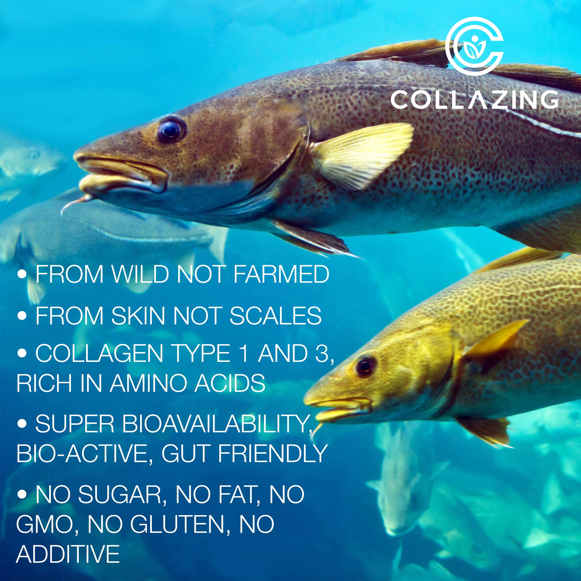 C COLLAZING - Alaskan Wild-Caught Marine Collagen Peptides with Hyaluronic Acid & Vitamin C - Supports Skin, Hair, Nails, Joints & Bones - Type 1 & 3 Collagen C COLLAZING buy supplements canada