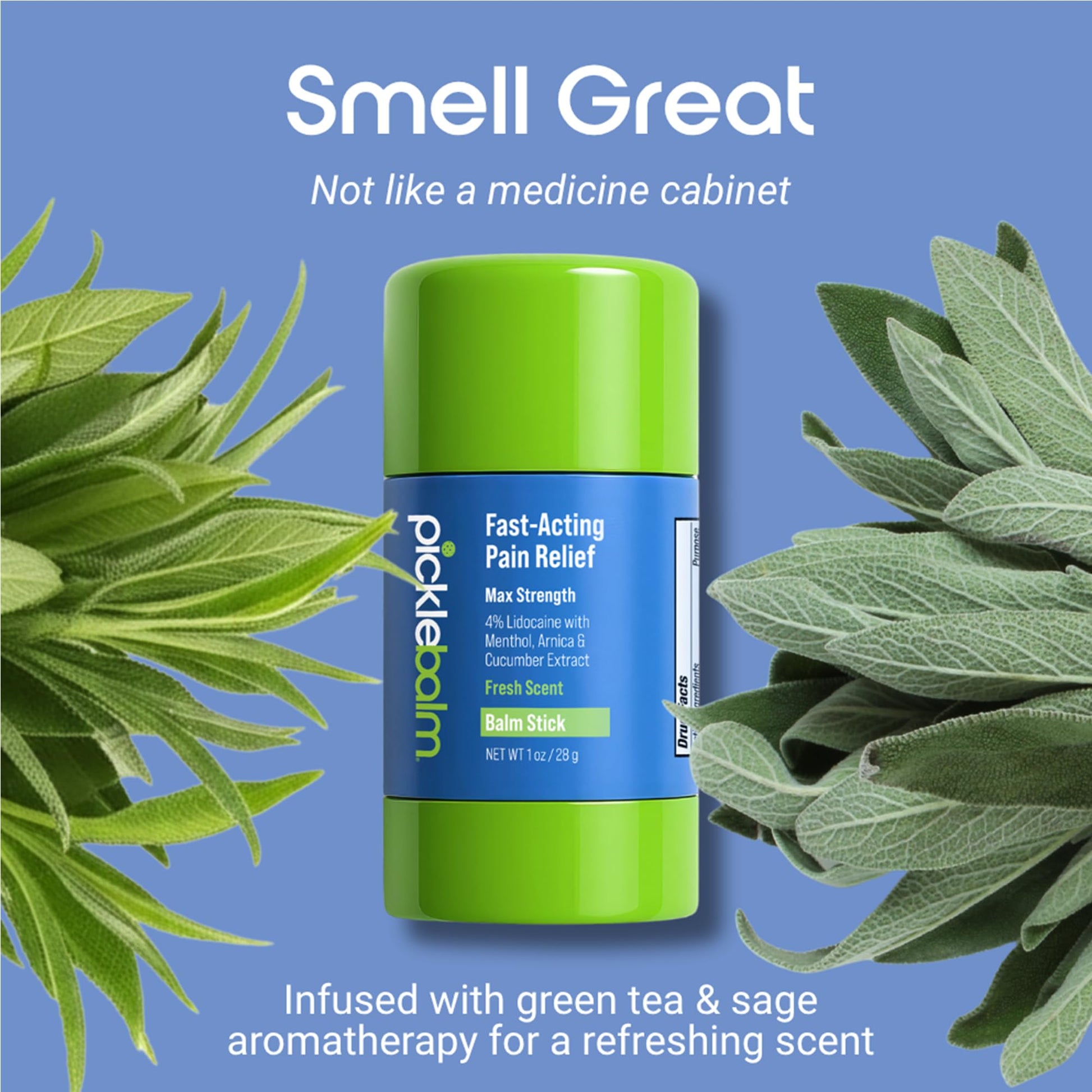 PickleBalm Pickleball In-Game Muscle Pain Relief Balm Stick with 4% Lidocaine, Arnica, Menthol, Cucumber Seed Extract for Shoulders, Knees, Wrists, and More, 1oz Stick PickleBalm buy supplements canada