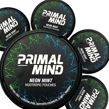Nootropic Pouches - Primal Mind Caffeine Free Nootropics Pouches Made with Ginkgo Biloba & L-Theanine - Nicotine Free Brain Boost, No Sugar, Cognitive Support – 20 Pouches Per Can, 5 Pack (Neon Mint) Primal Prelude buy supplements canada