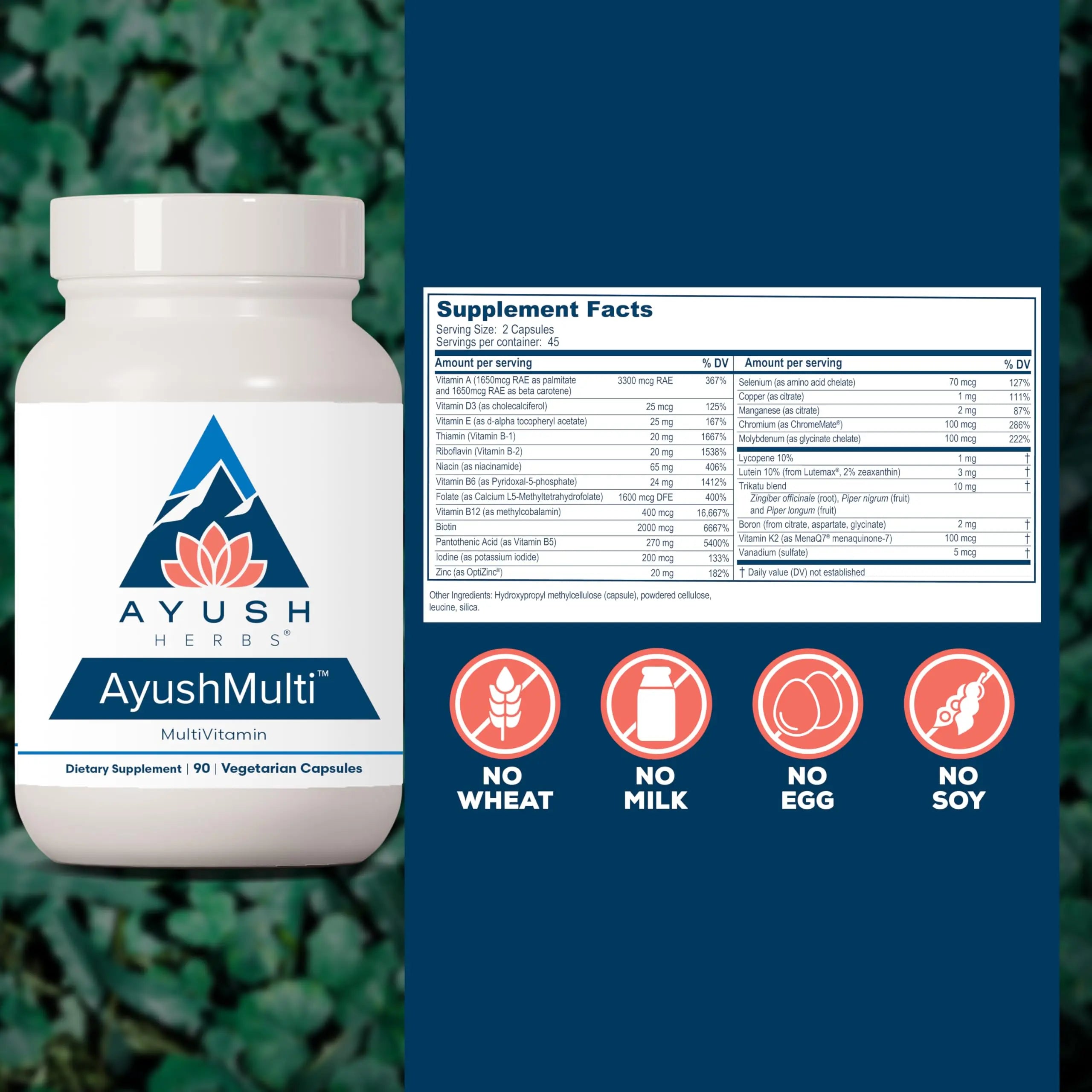 Ayush Herbs Ayush Multi - Multi Vitamin Capsules, Multivitamin with Iodine & Zinc for Men & Women Ayush Herbs buy supplements canada
