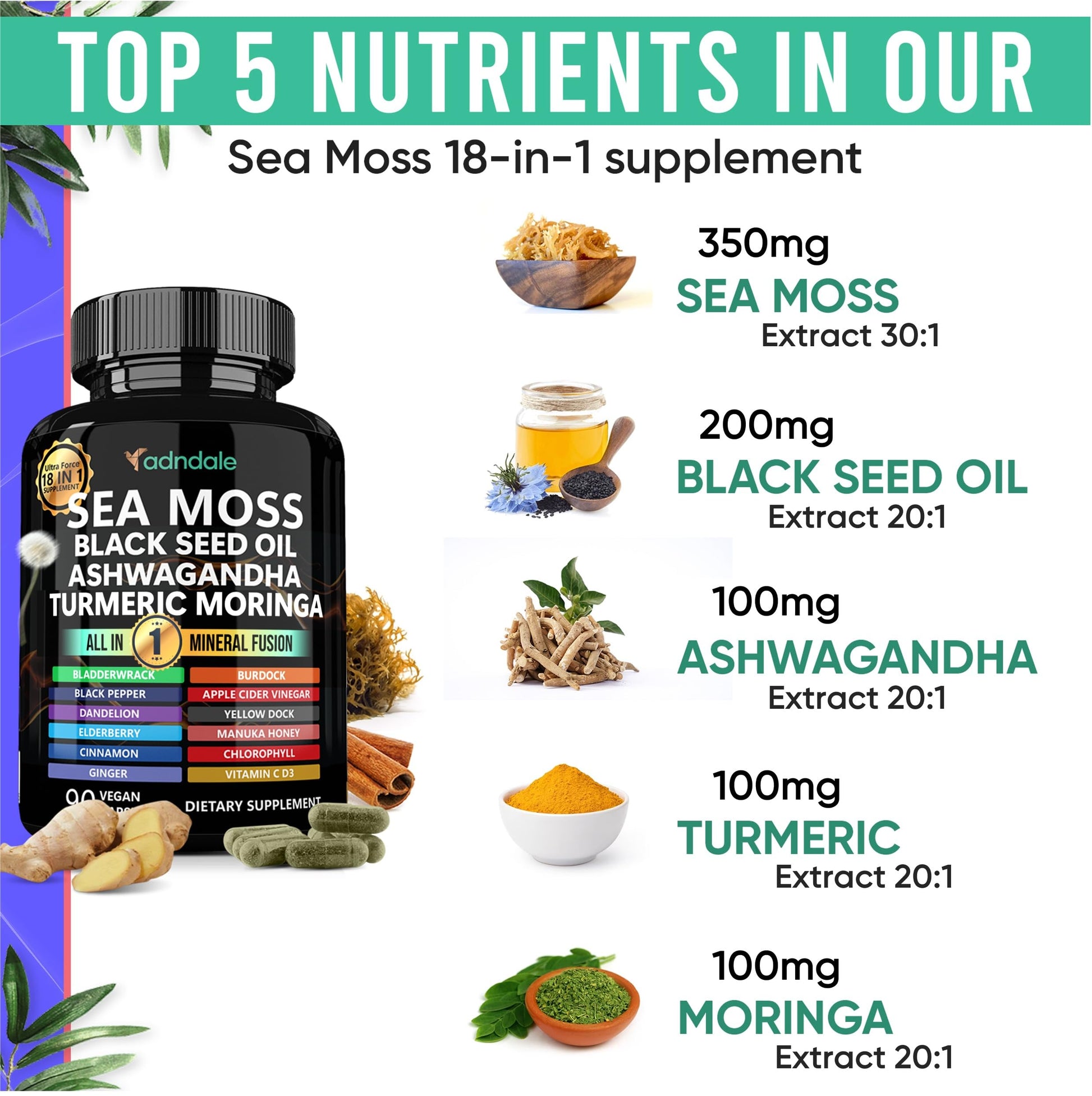 Adndale Sea Moss Capsules - Sea Moss Blend with Ashwagandha, Turmeric & Black Seed Oil - 180 Count Adndale buy supplements canada