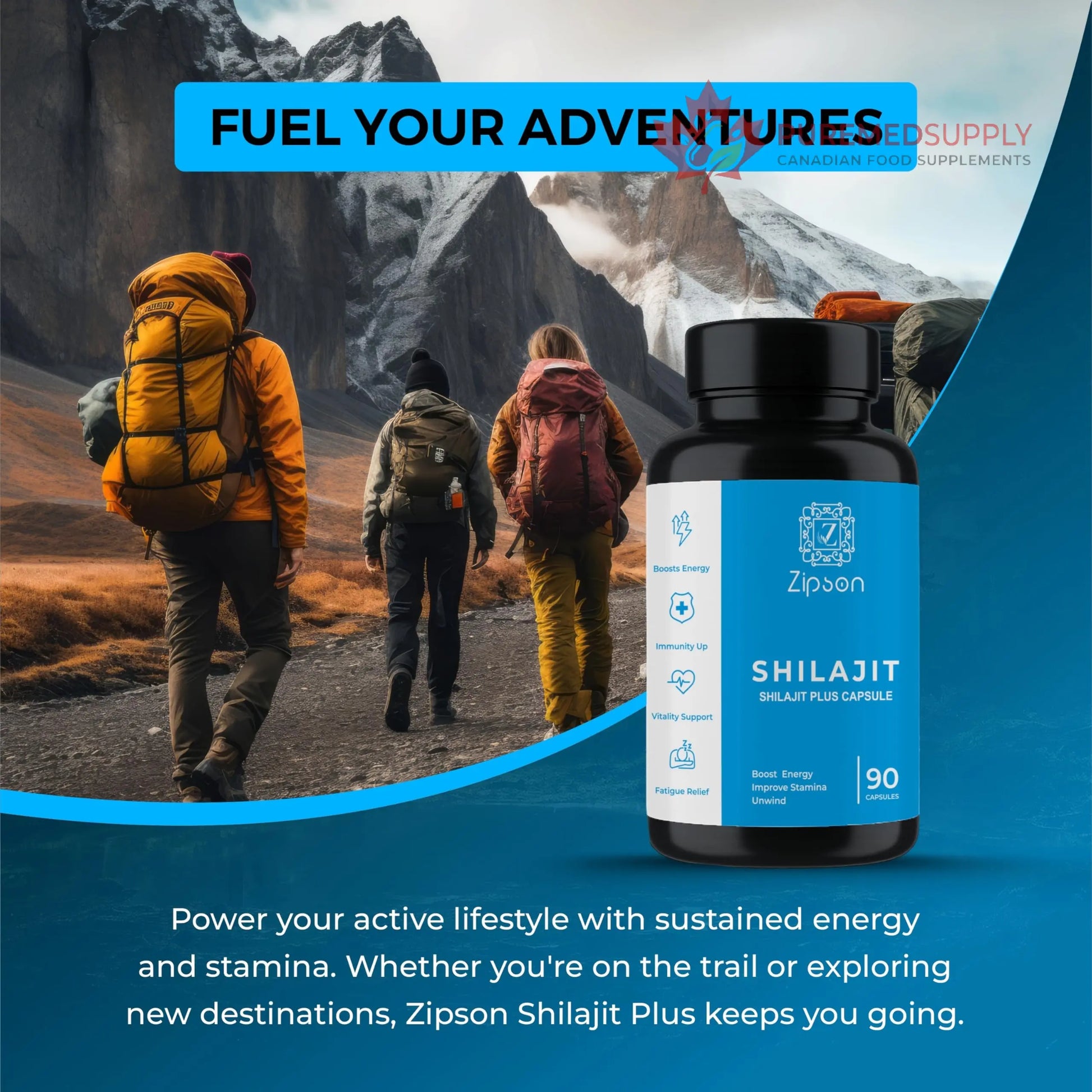 ZIPSON Shilajit for Men & Women | 90 Capsules | Himalayan Formula for Extra Power, Stamina & Immune Support | with Natural Fulvic Acid | Non-GMO | 500mg Per Serving ZIPSON buy supplements canada
